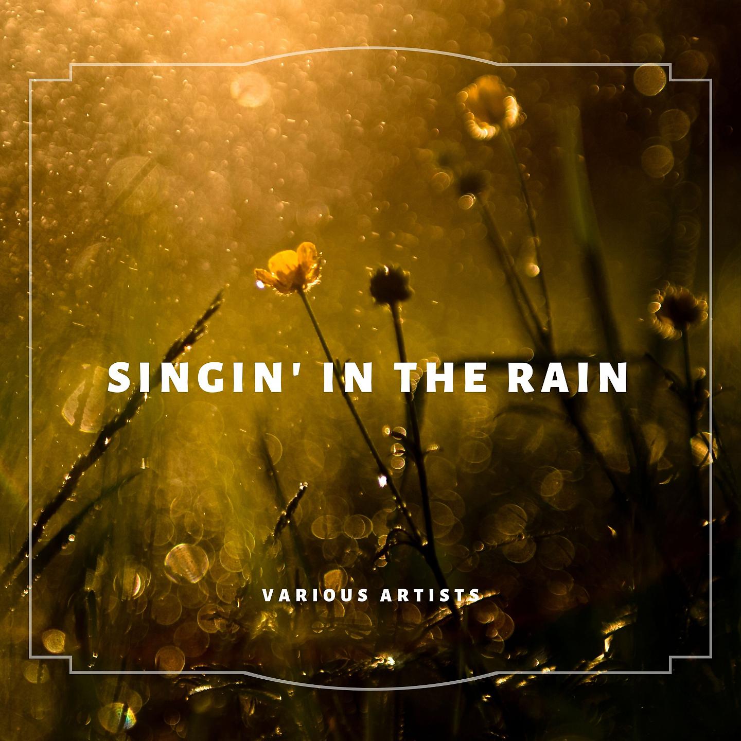 Постер альбома Singin' In The Rain