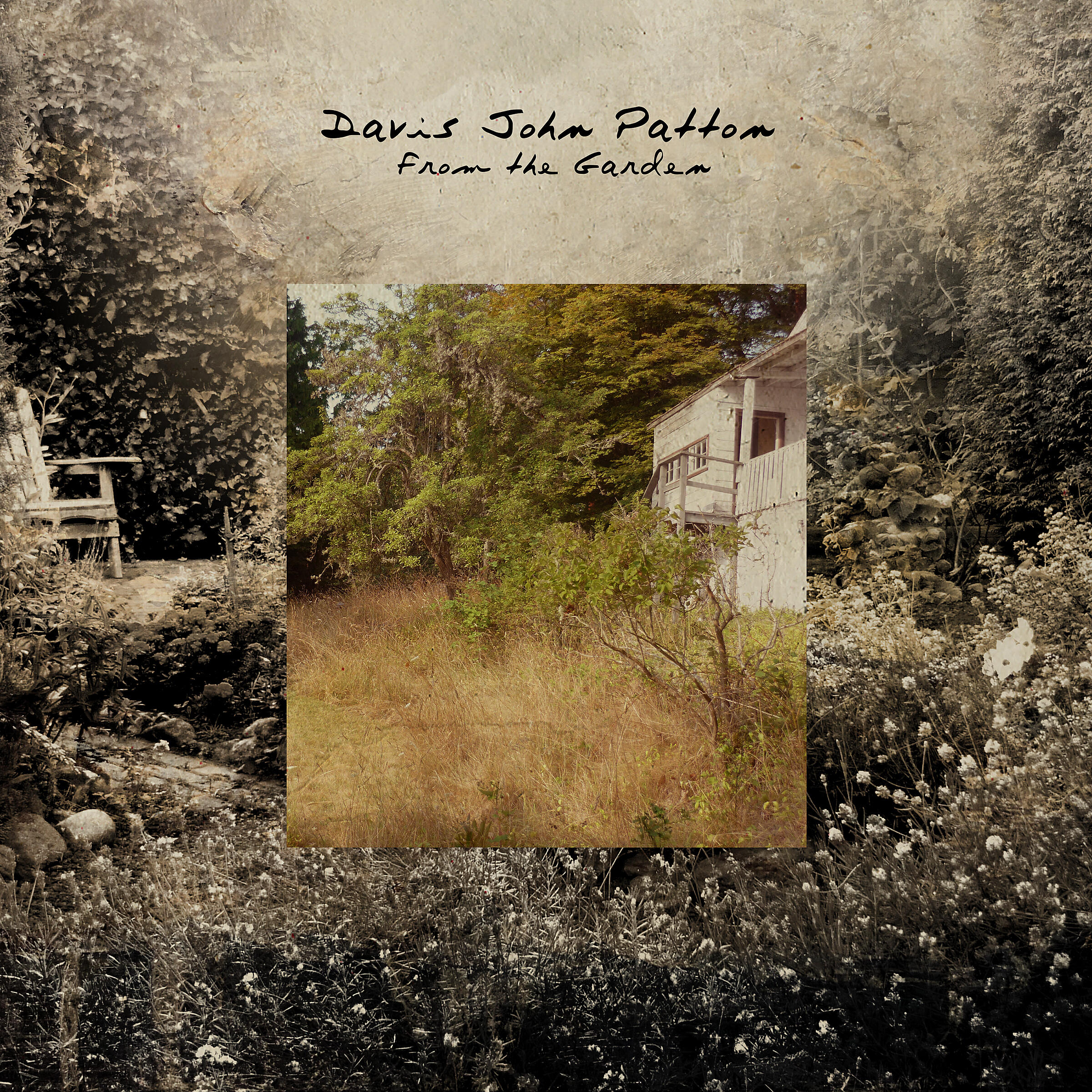 Davis John Patton - Safety