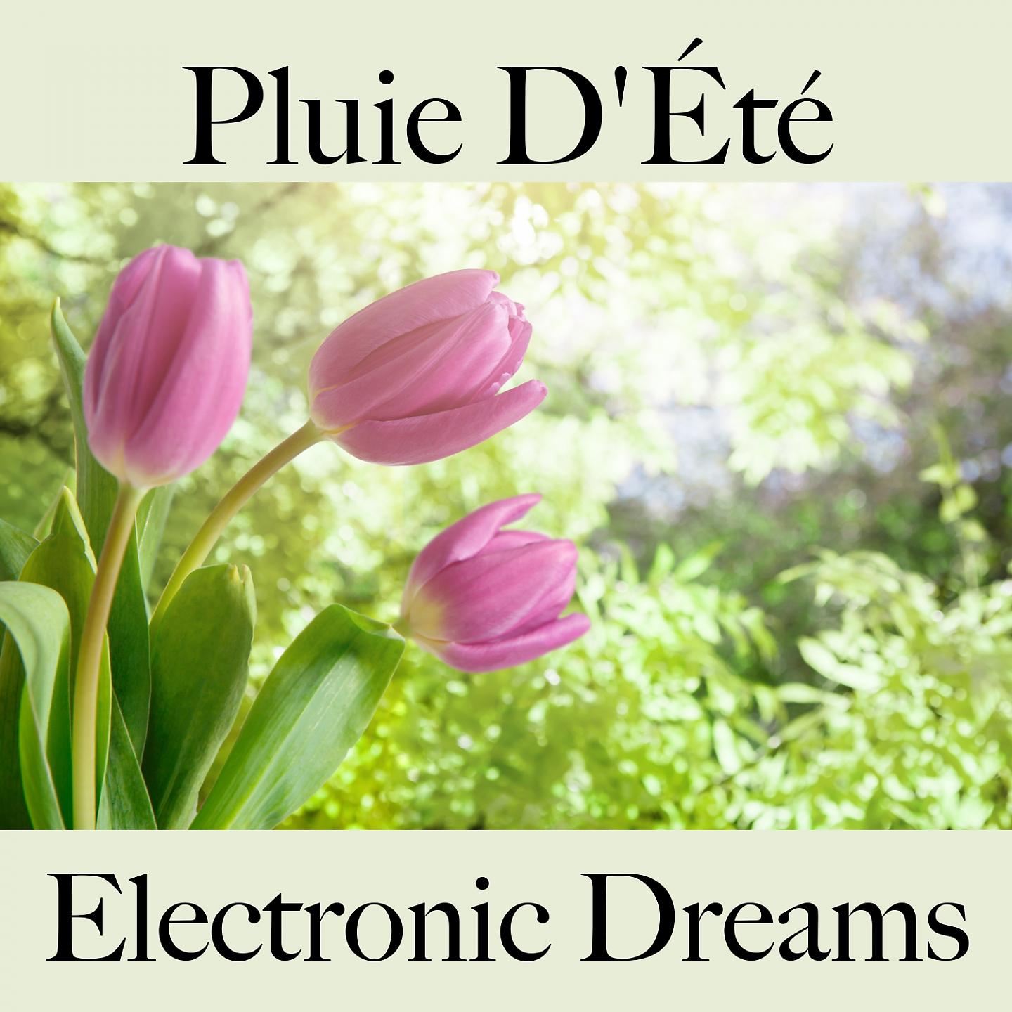 Постер альбома Pluie D'Été: Electronic Dreams - La Meilleure Musique Pour Se Détendre