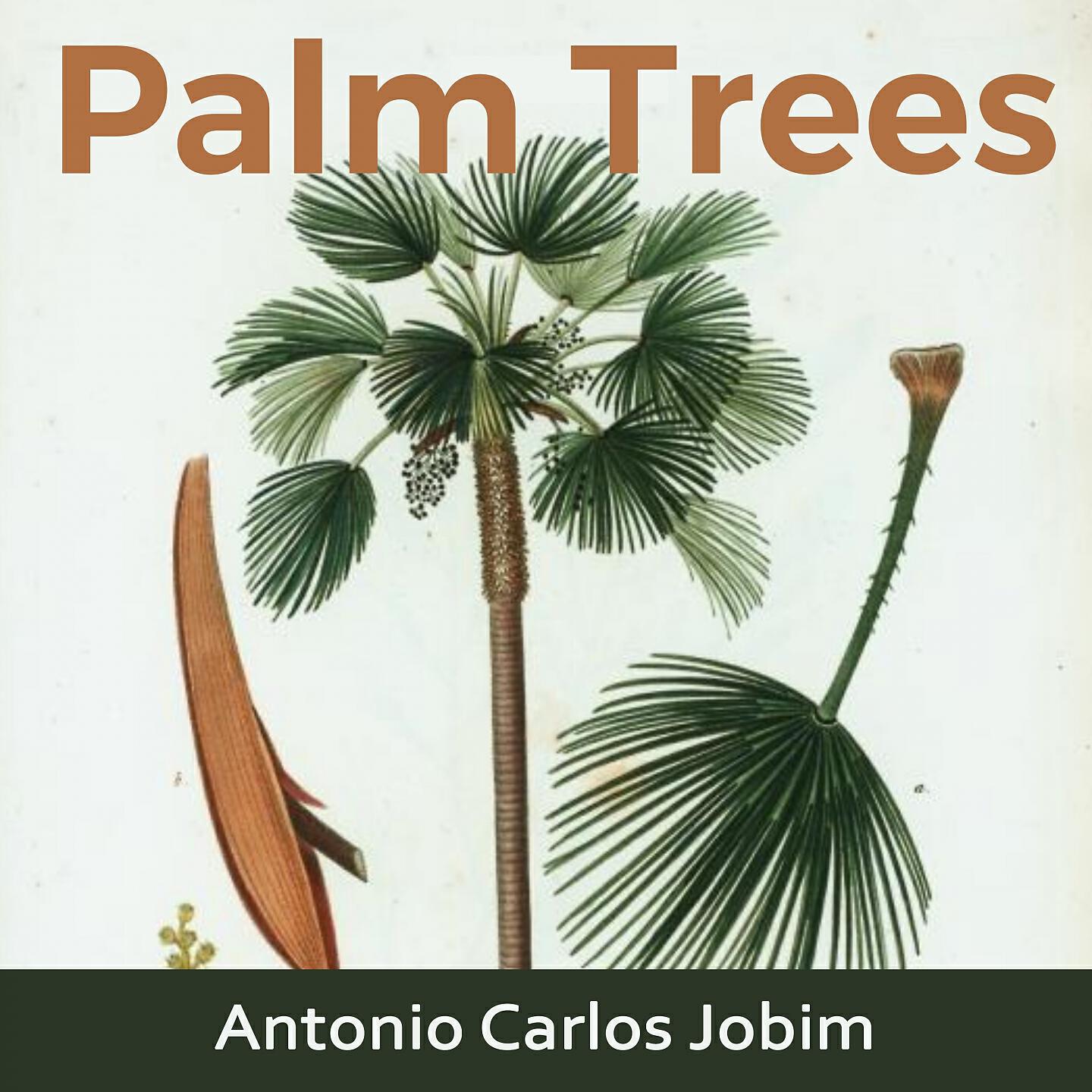 Antônio Carlos Jobim - Amor Em Paz (Once I Loved)