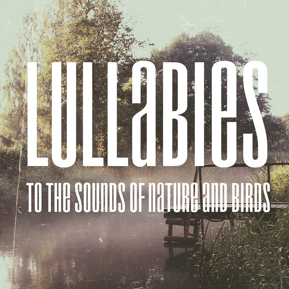 Baby Lullaby Relax World - Dream to the Sounds of Nature and Birds (Original Mix)