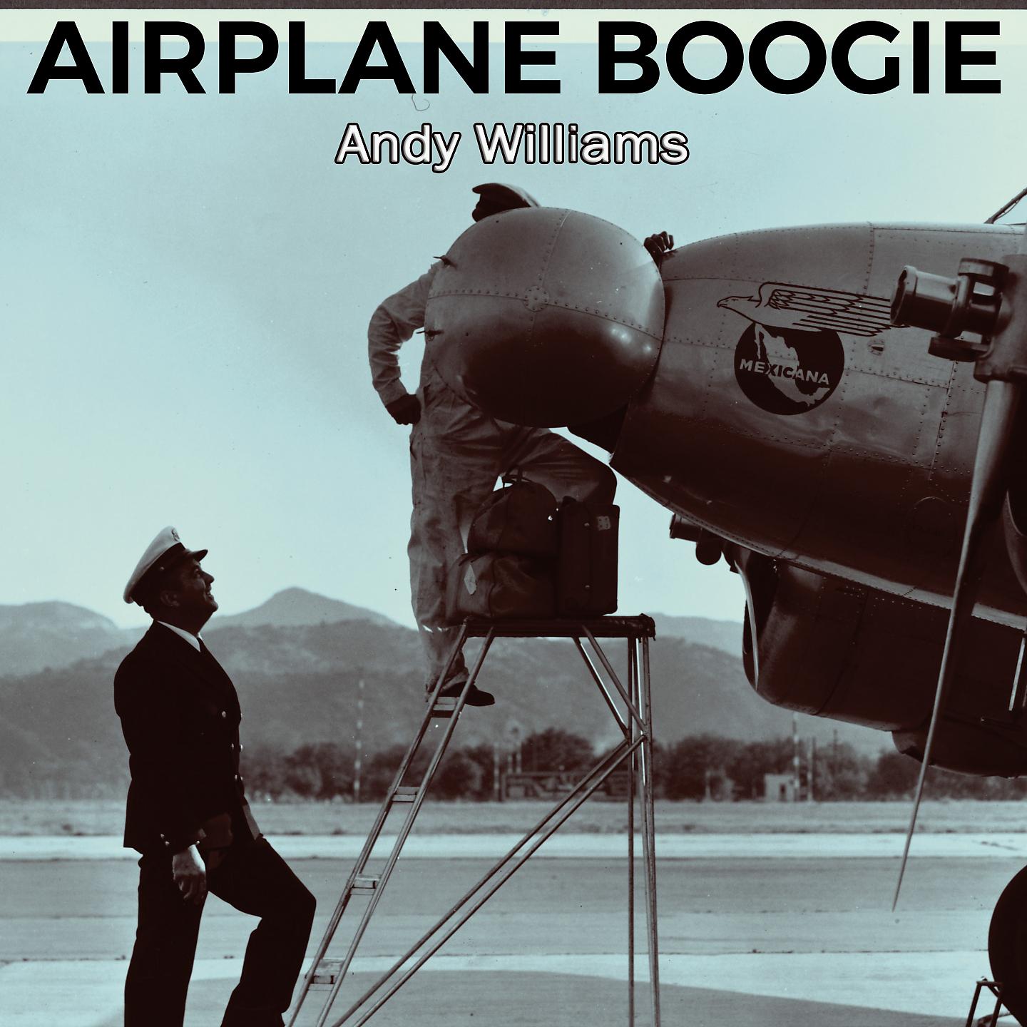 Постер альбома Airplane Boogie