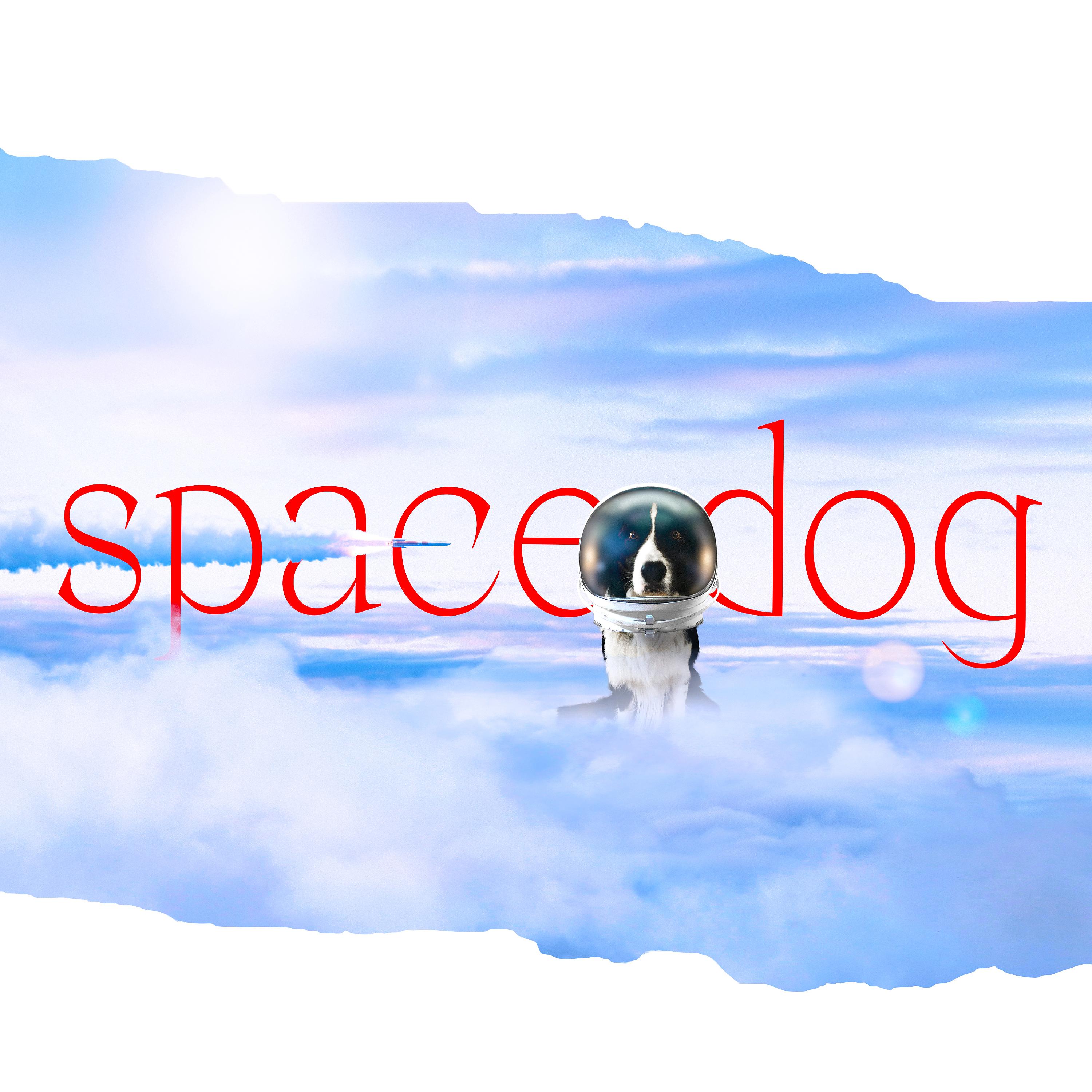 Постер альбома Space Dog