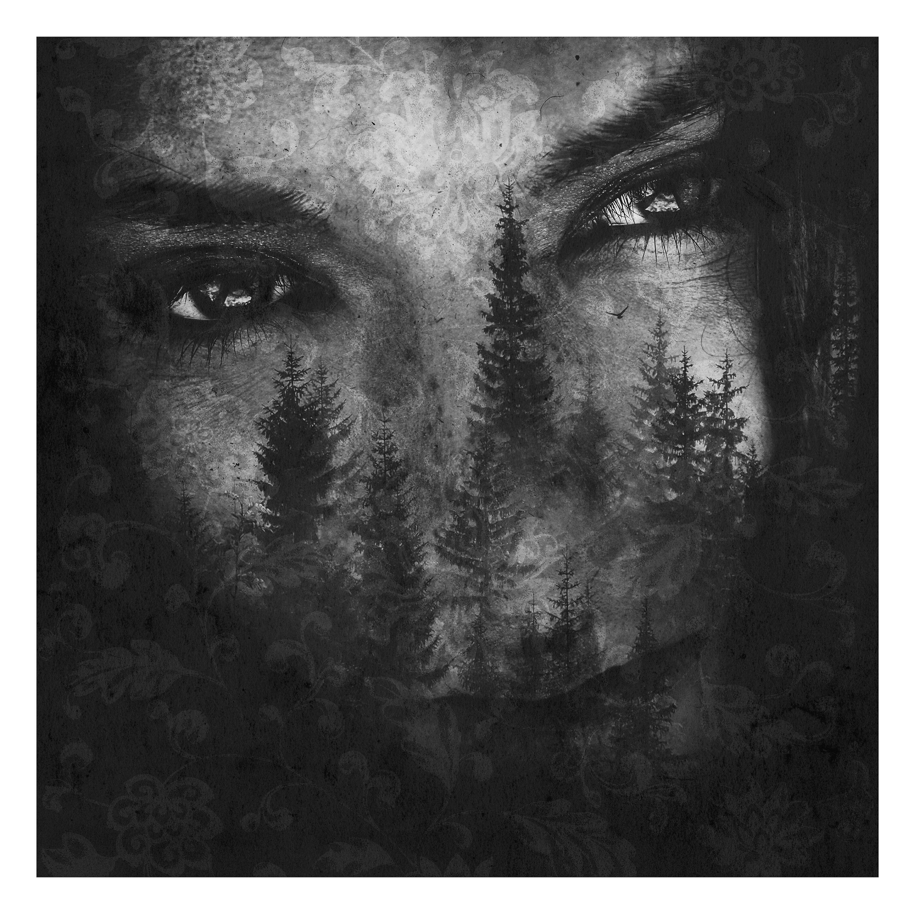 Lustre - Part 3 (Like Music in the Night)