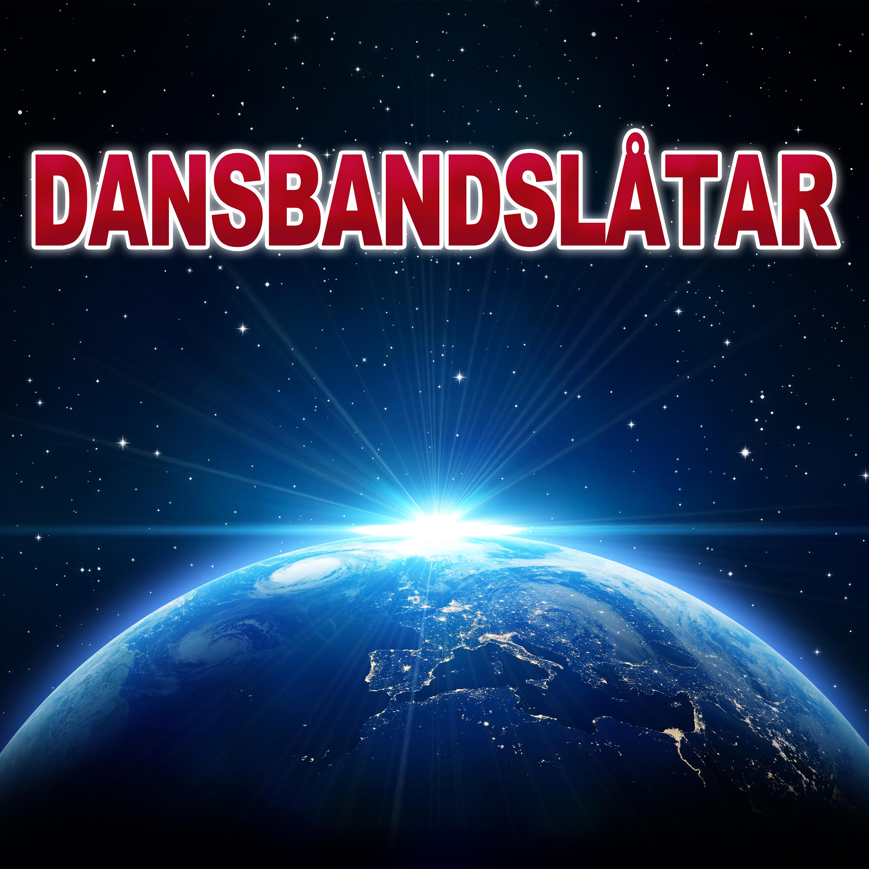 Постер альбома Dansbandslåtar