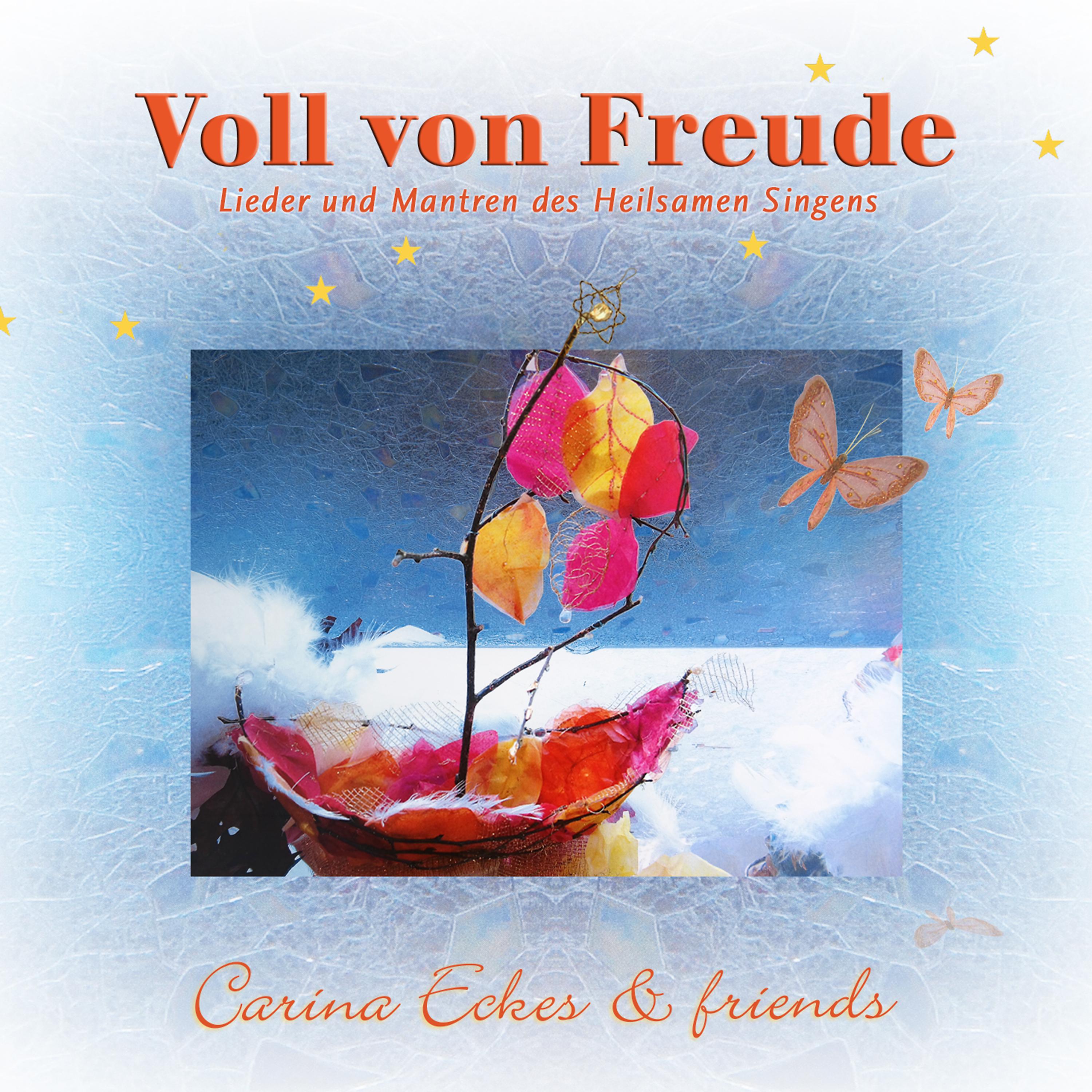 Постер альбома Voll von Freude