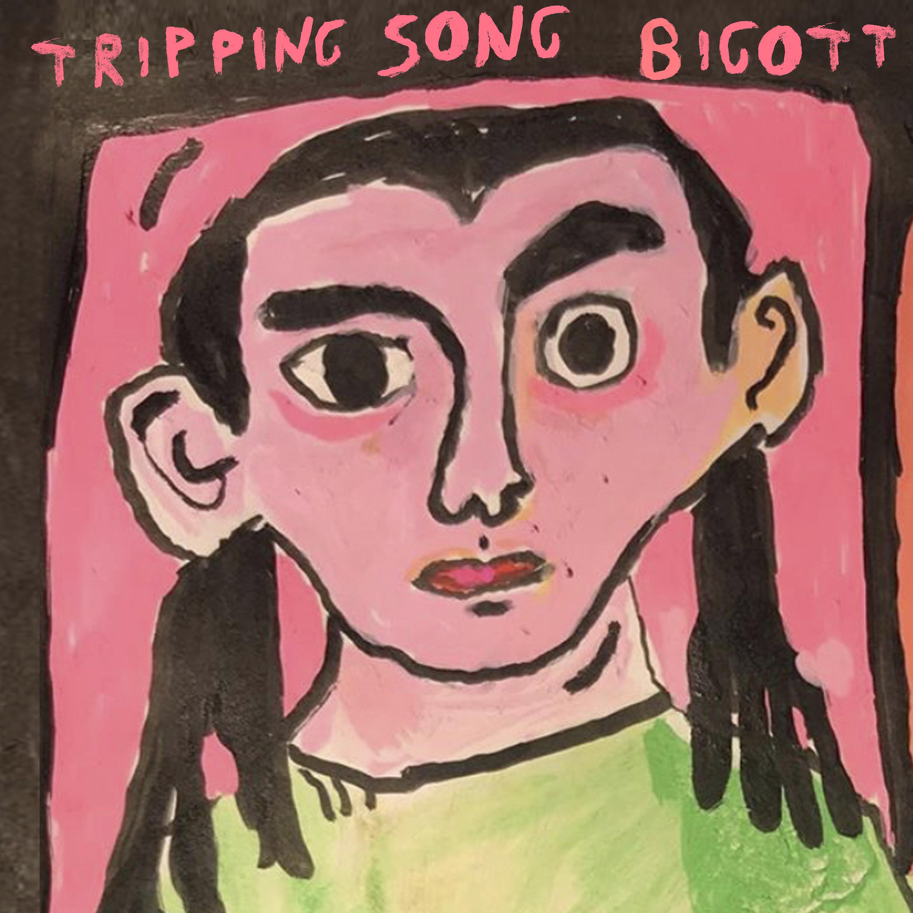 Постер альбома Tripping Song