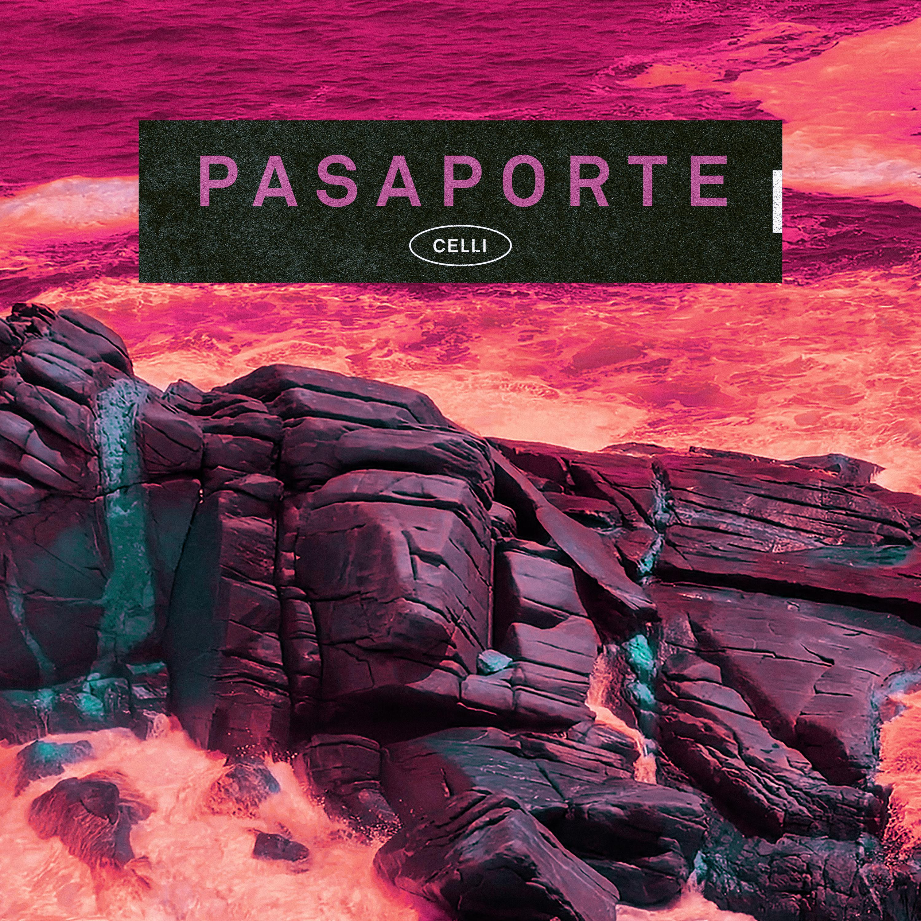 Постер альбома Pasaporte