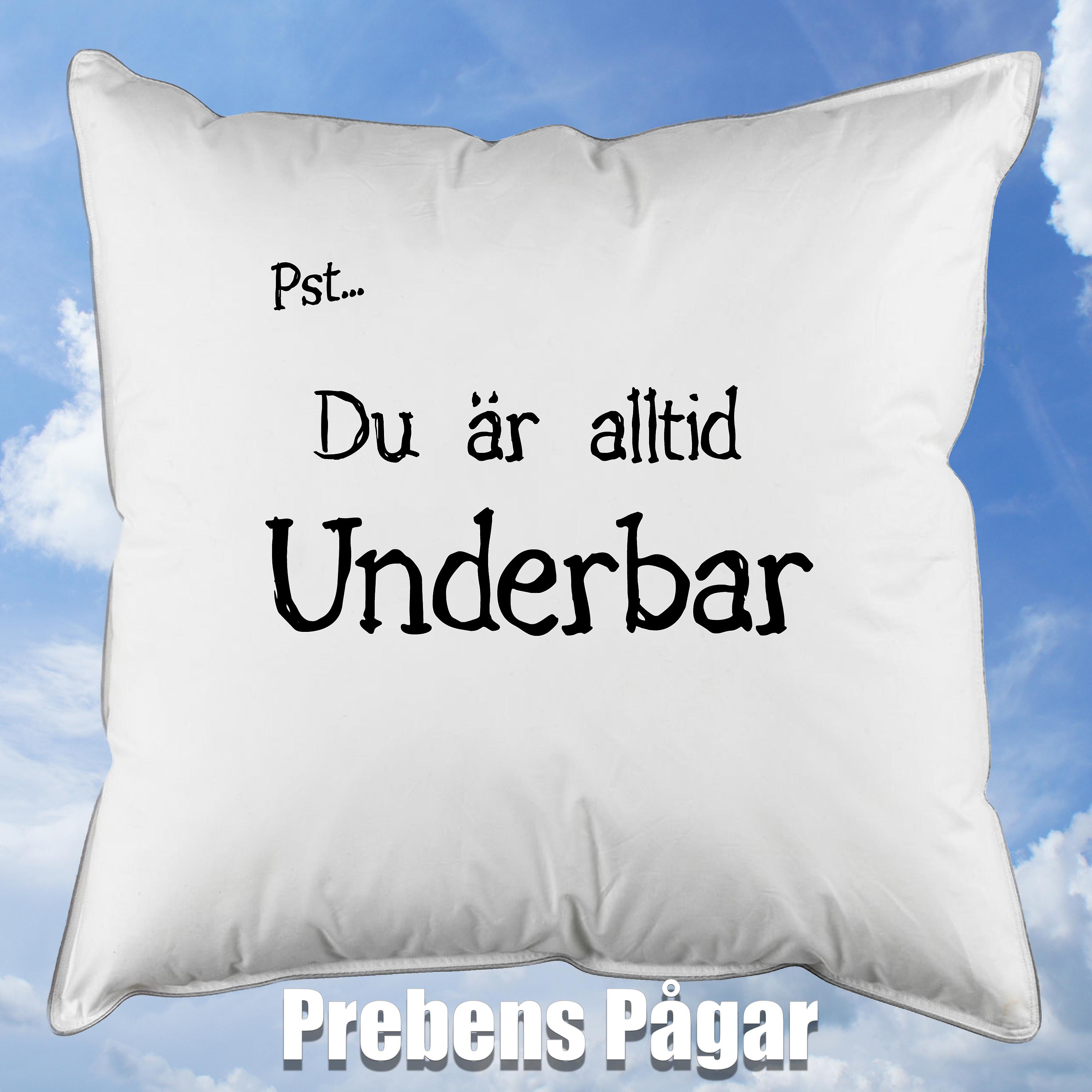 Постер альбома Du Är Alltid Underbar