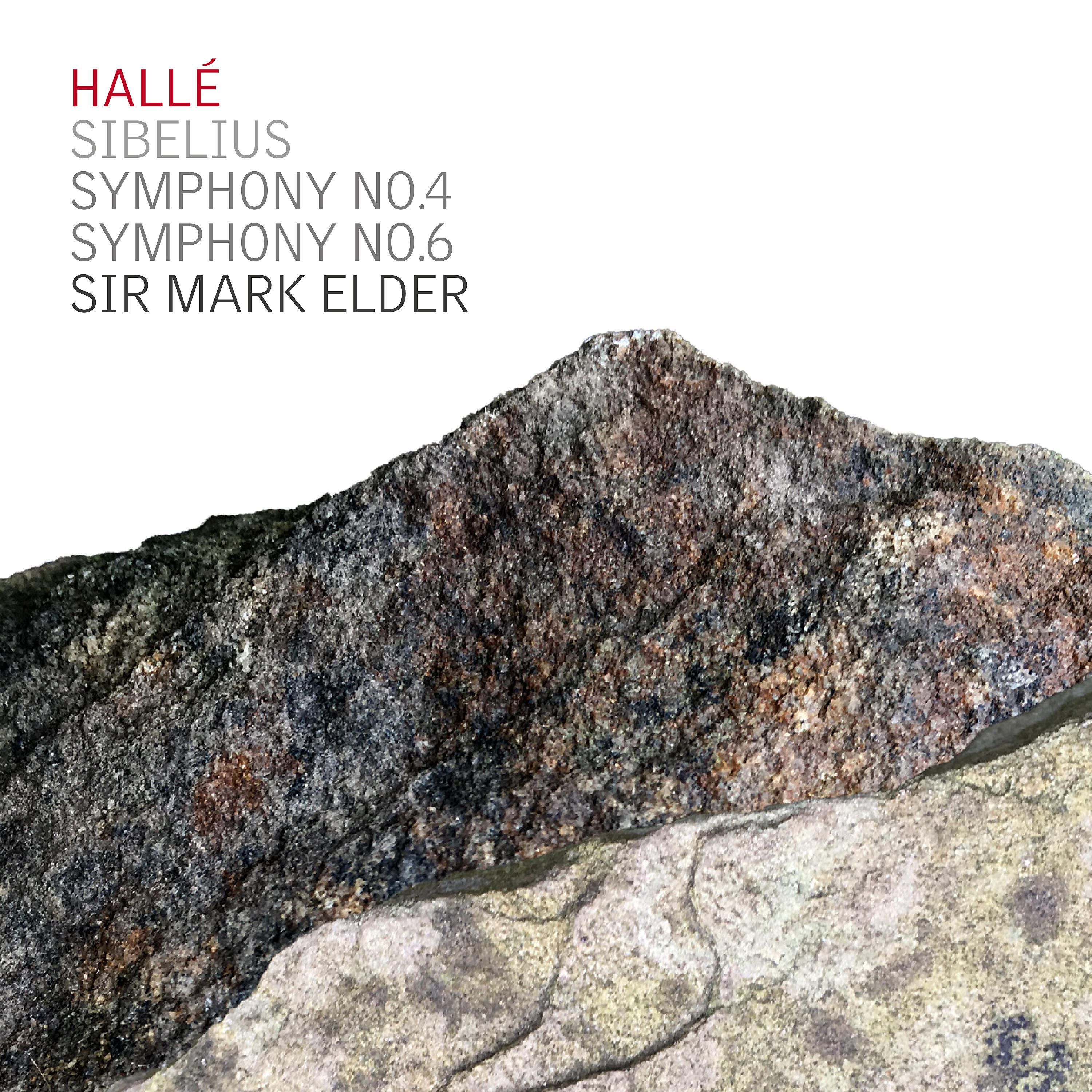 Halle - Symphony No.6 in D Minor, Op. 104: I. Allegro molto moderato