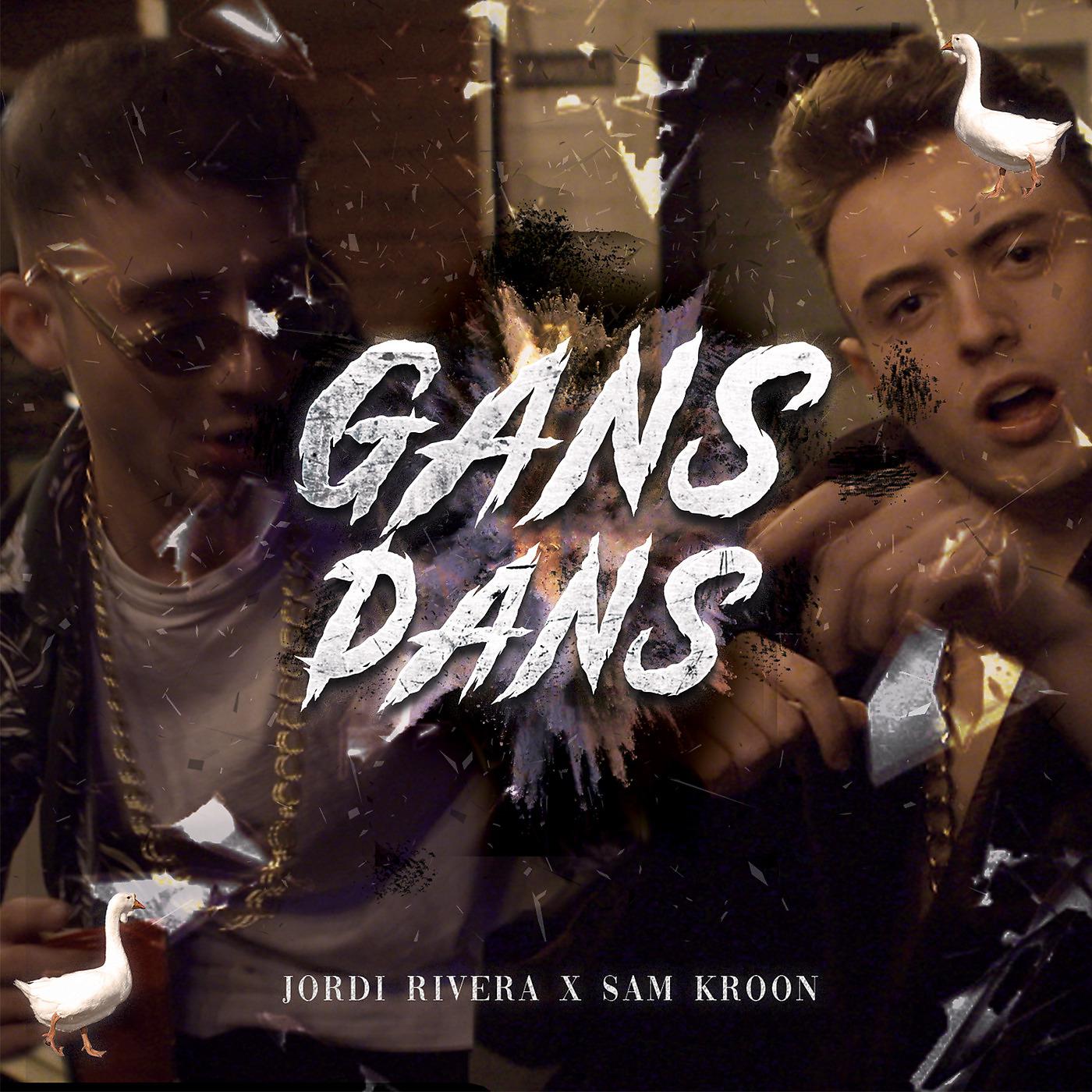 Постер альбома Gans Dans