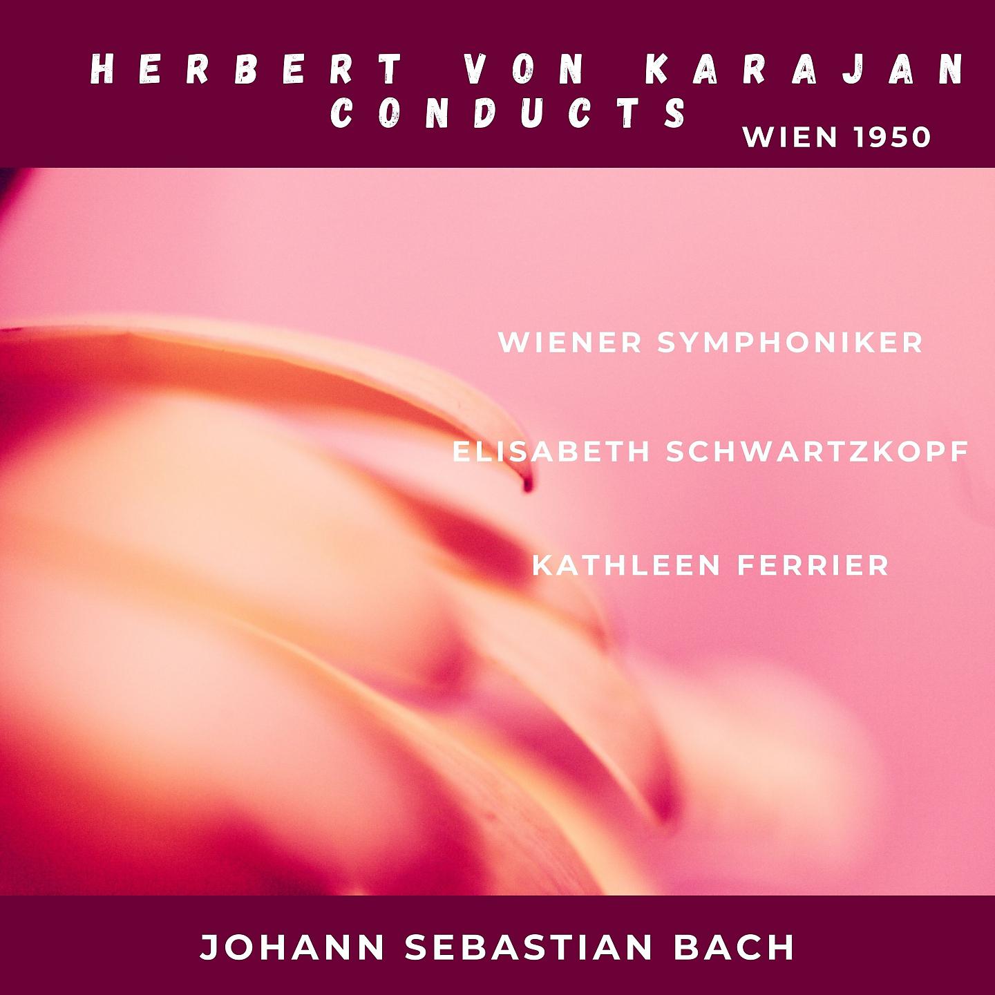 Постер альбома Johann Sebastian Bach : Mass In B minor, BWV 232