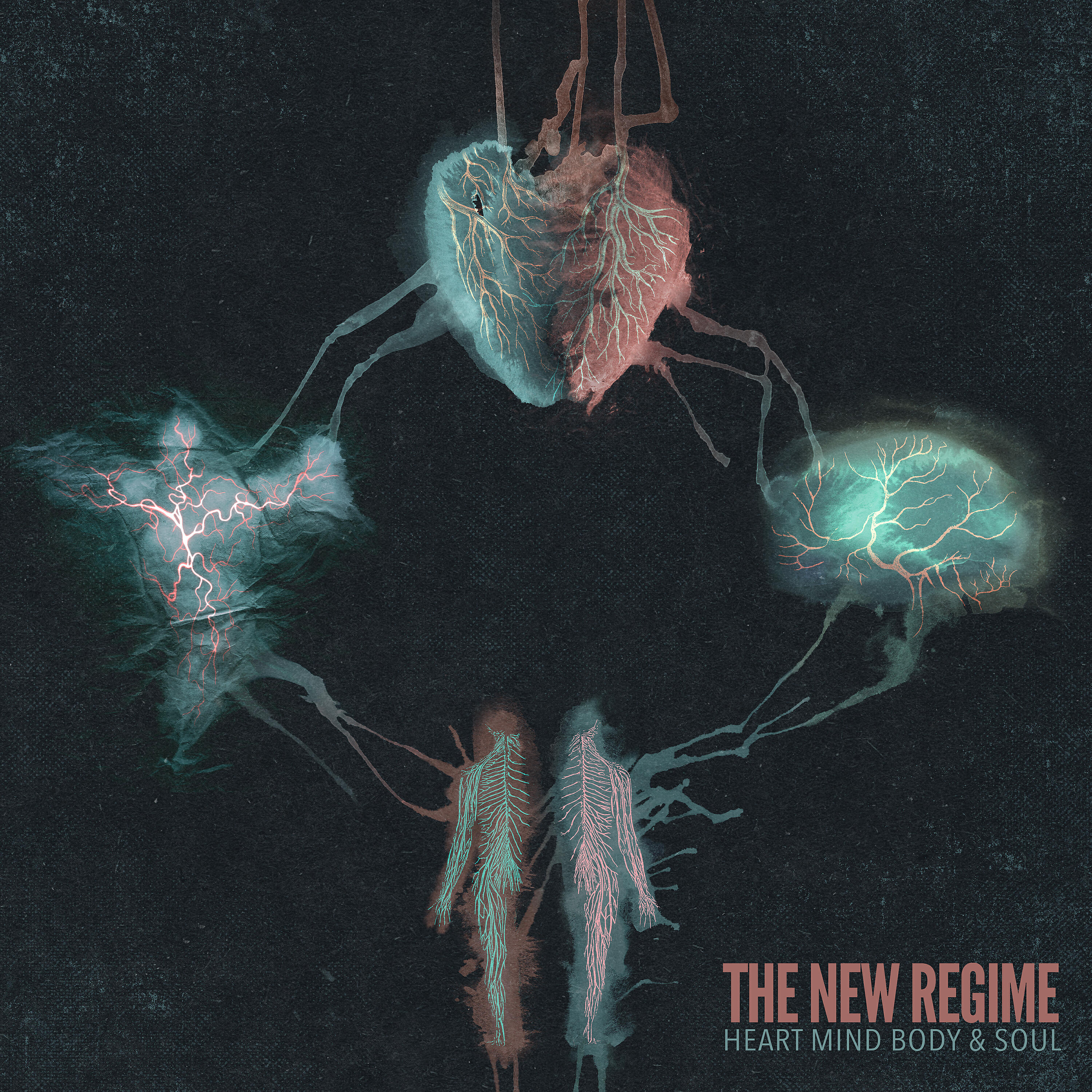 The New Regime - Knocking Down Your Door