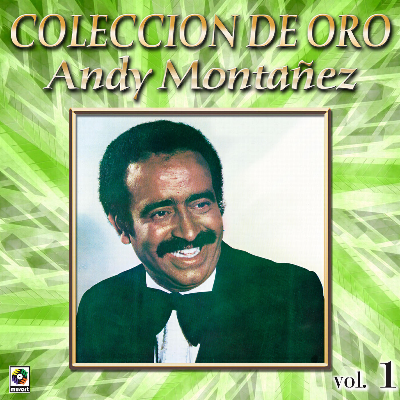 Andy Montanez - Tema Para Un Sonerito