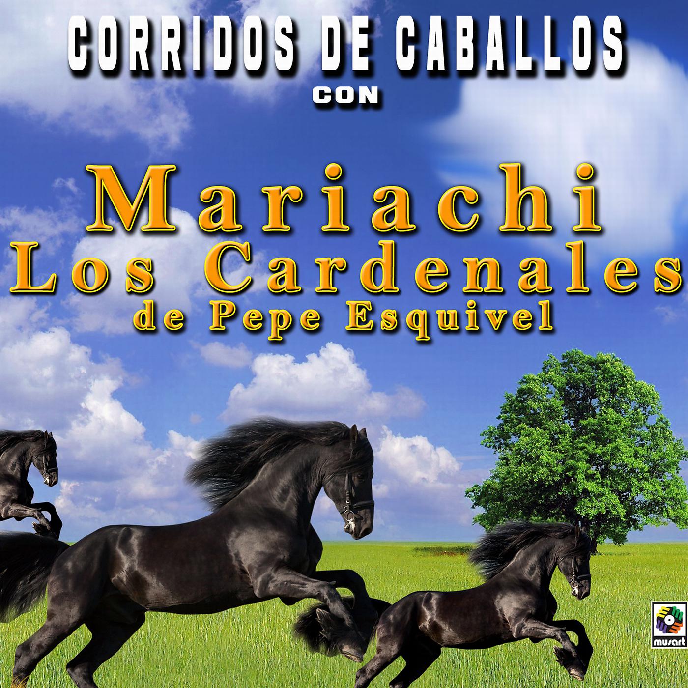Постер альбома Corridos De Caballos Con Mariachi Los Cardenales De Pepe Esquivel