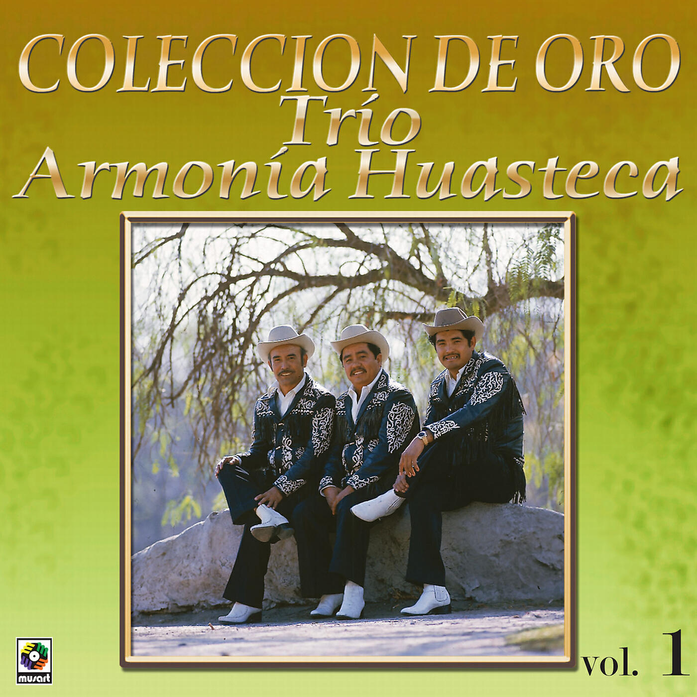 Trio Armonia Huastecá - Hasta Luego Mi Gabán