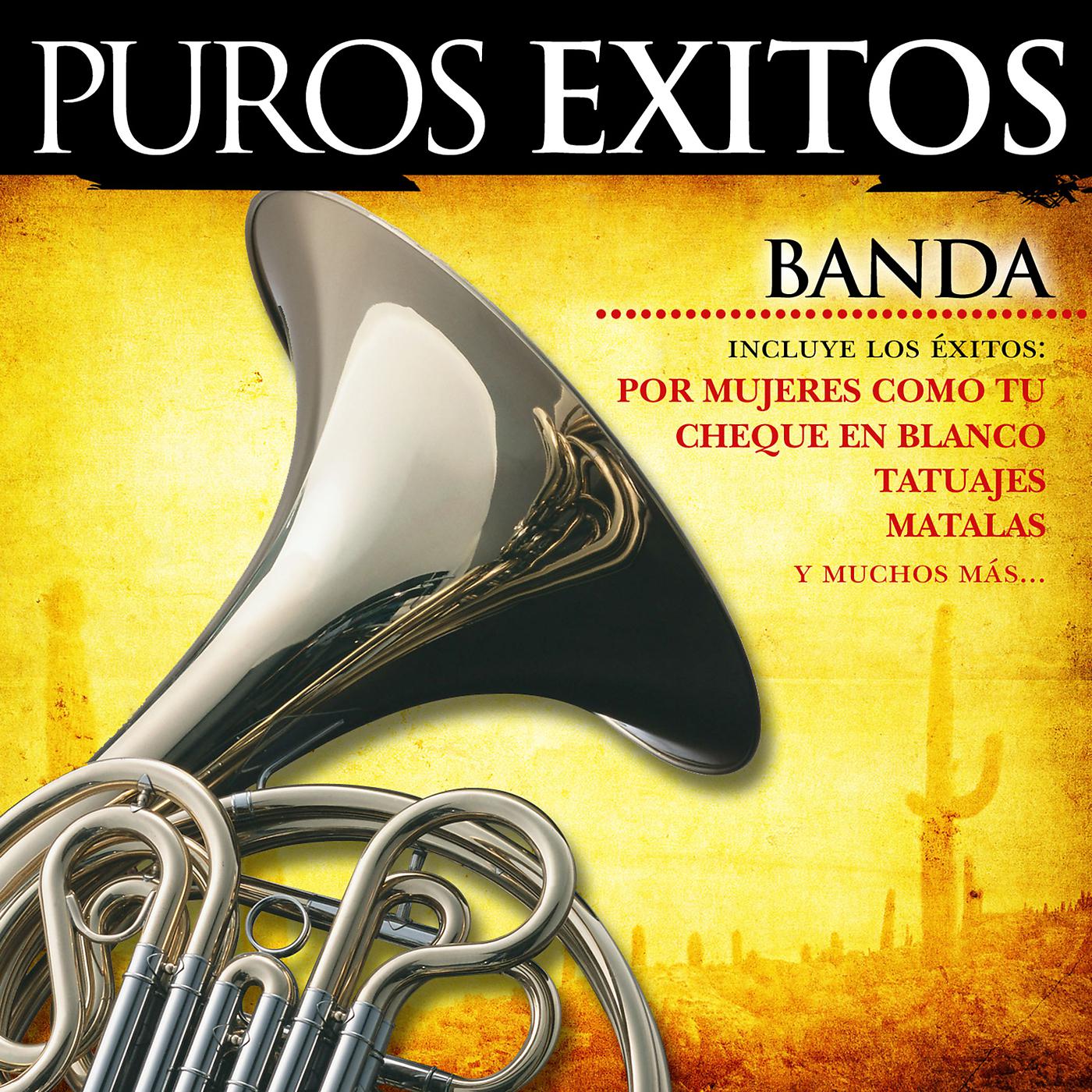 Постер альбома Puros Éxitos: Banda