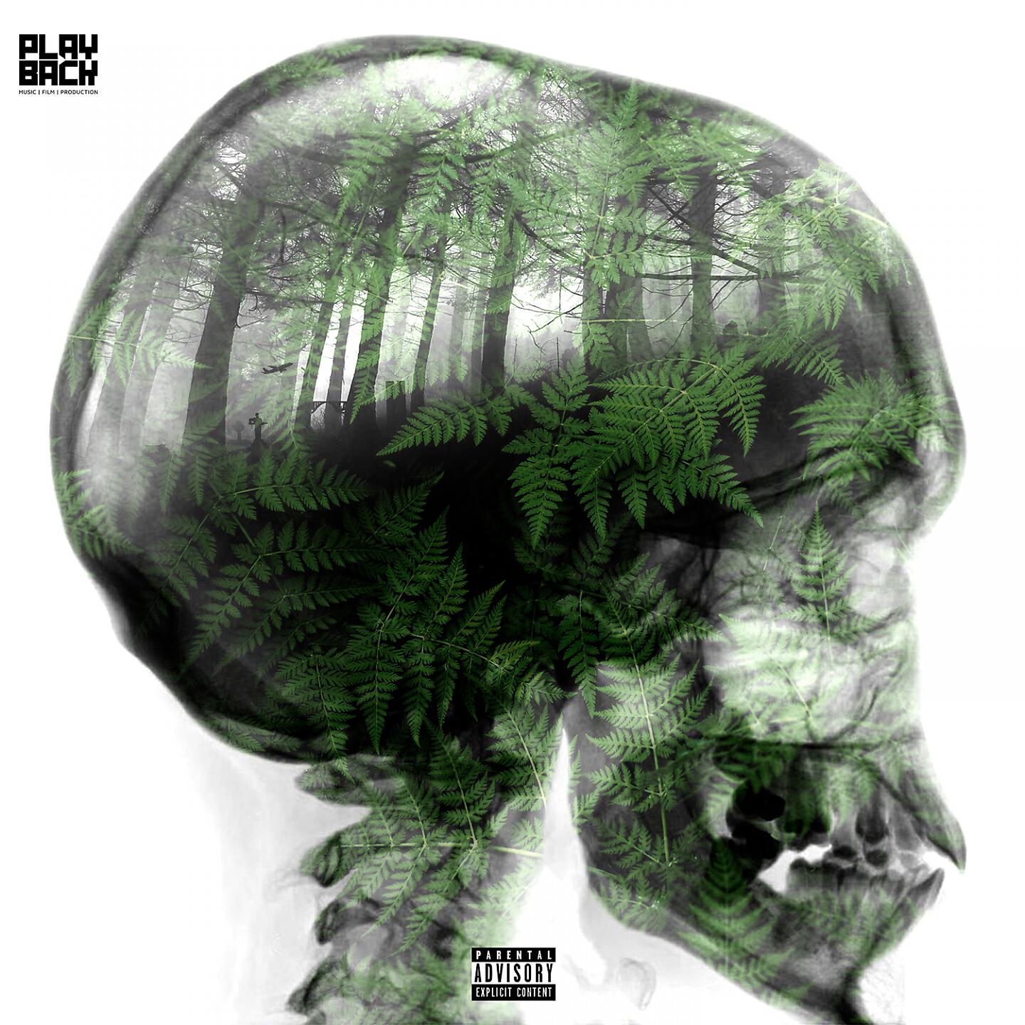 DEV - 21 Gram