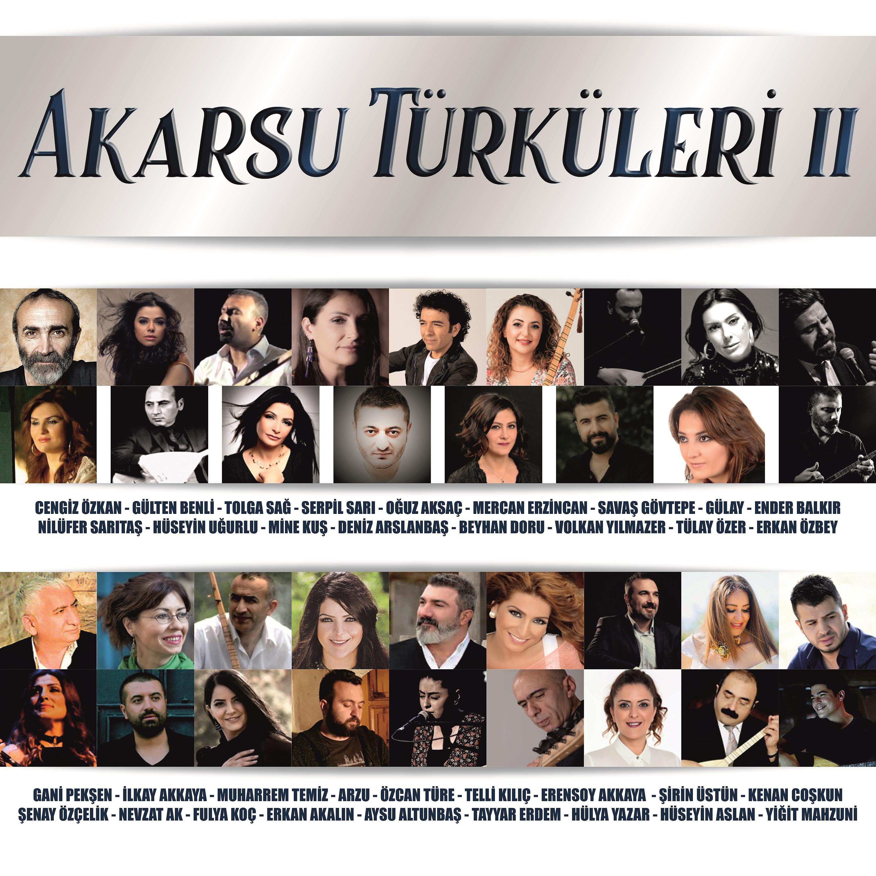 Постер альбома Akarsu Türküleri 2