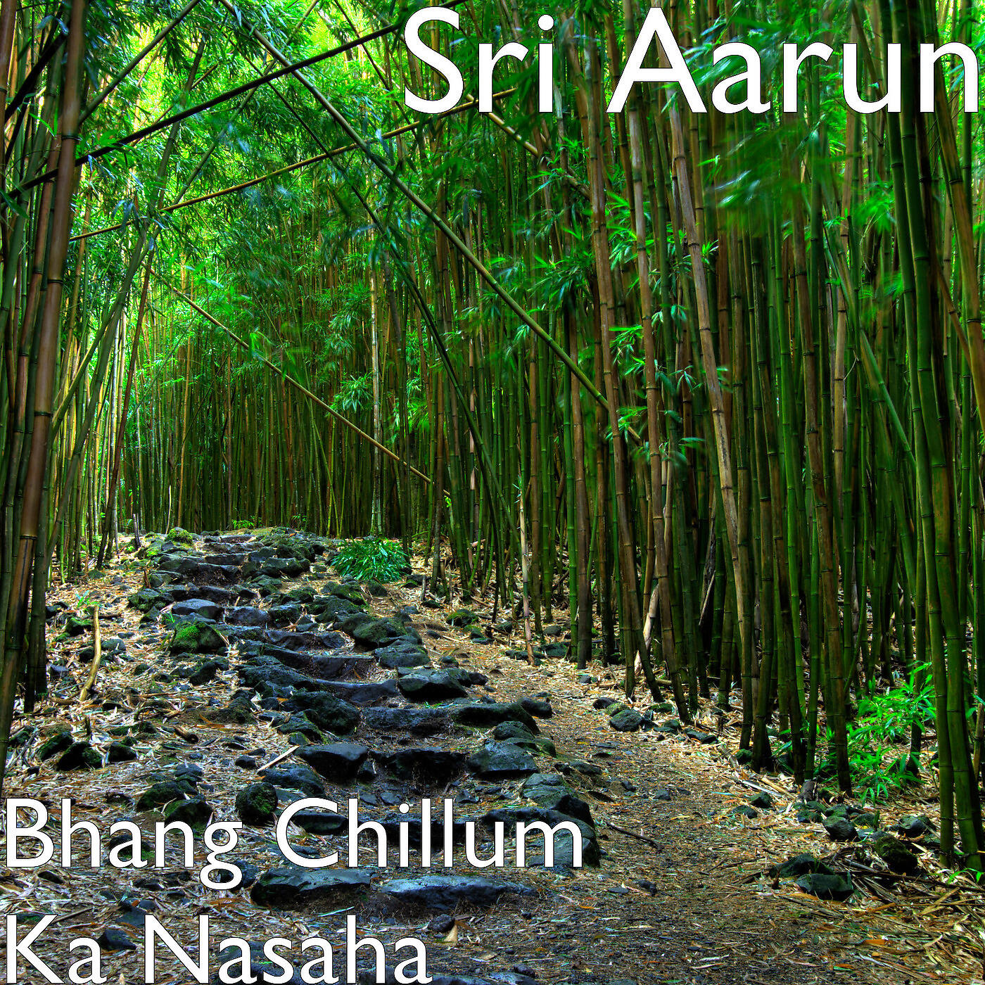 Sri Aarun - Bhang Chillum Ka Nasaha