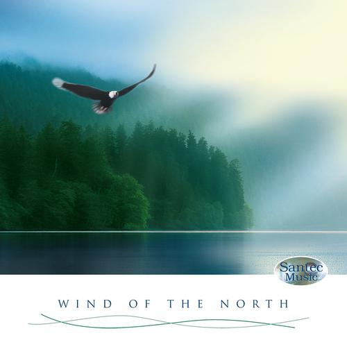Постер альбома Wind of the North: Irish Celtic Music