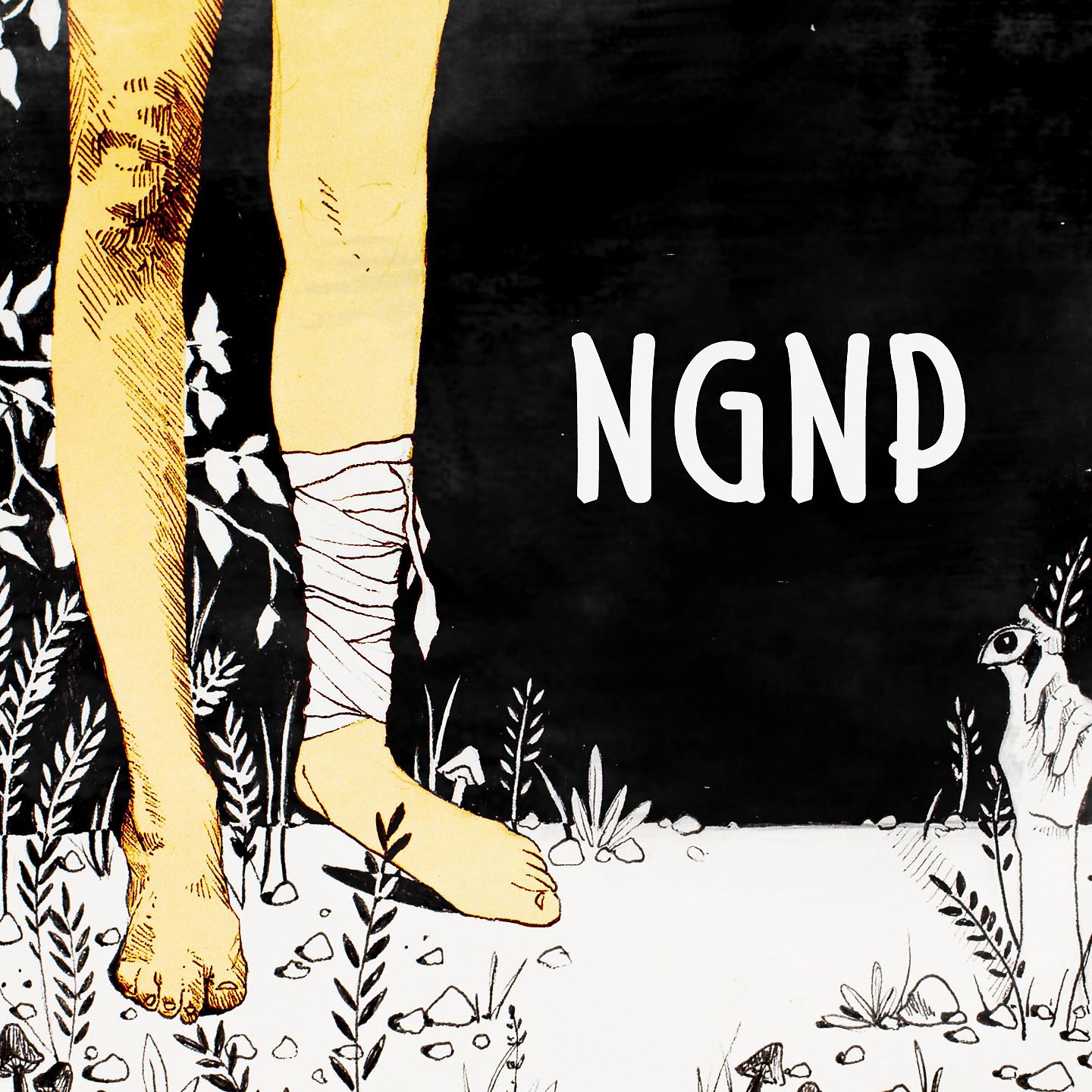 Постер альбома NGNP