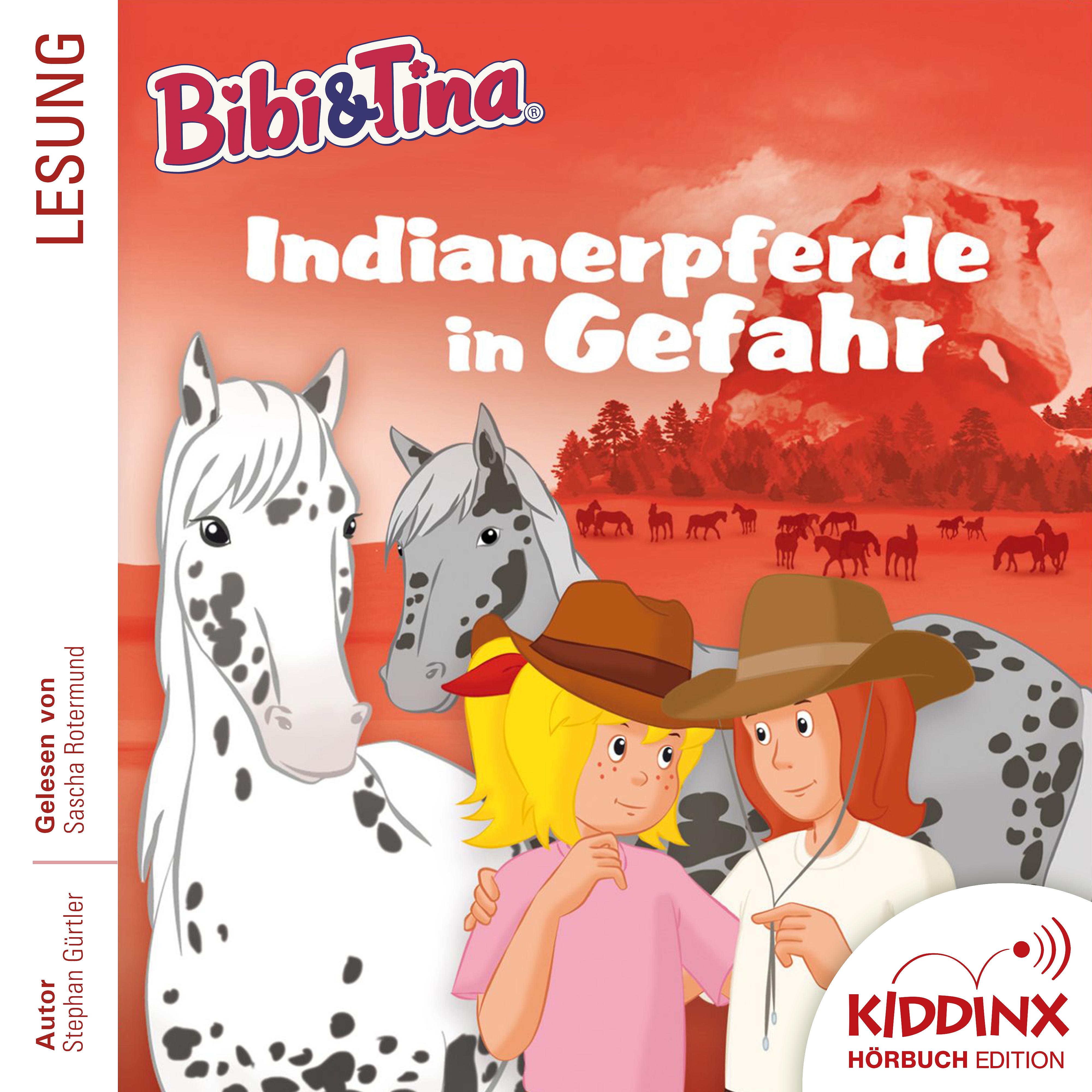 Постер альбома Hörbuch: Indianerpferde in Gefahr (Ungekürzt)
