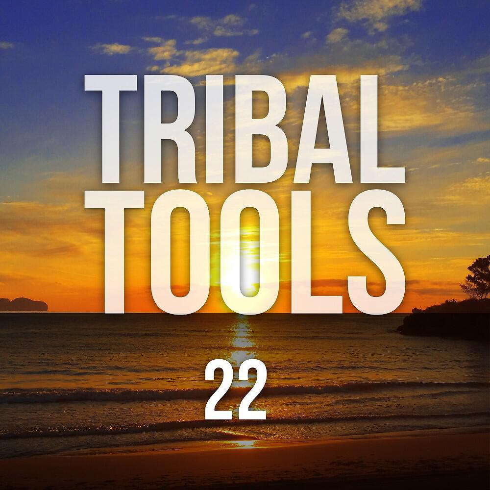 DJ Vulkan - Two Stars (Tribal Mix)