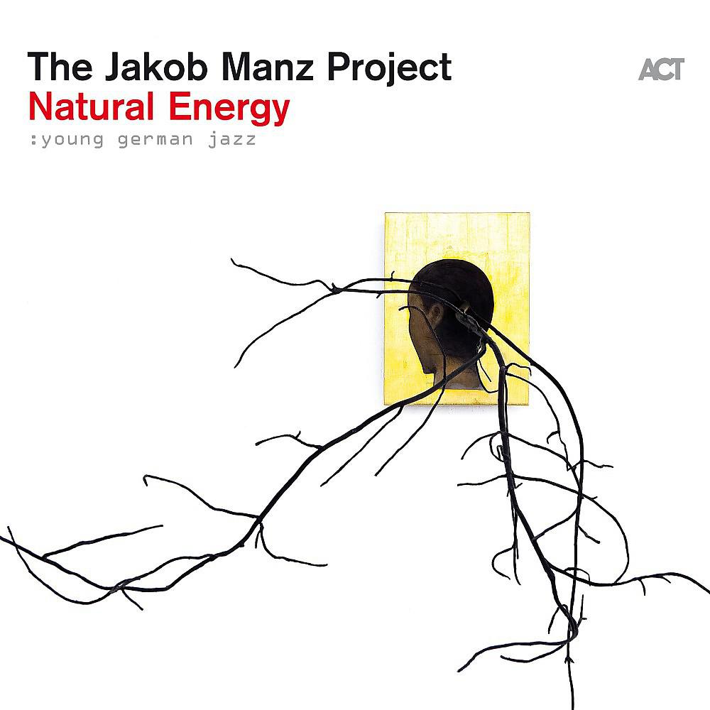 Постер альбома Natural Energy