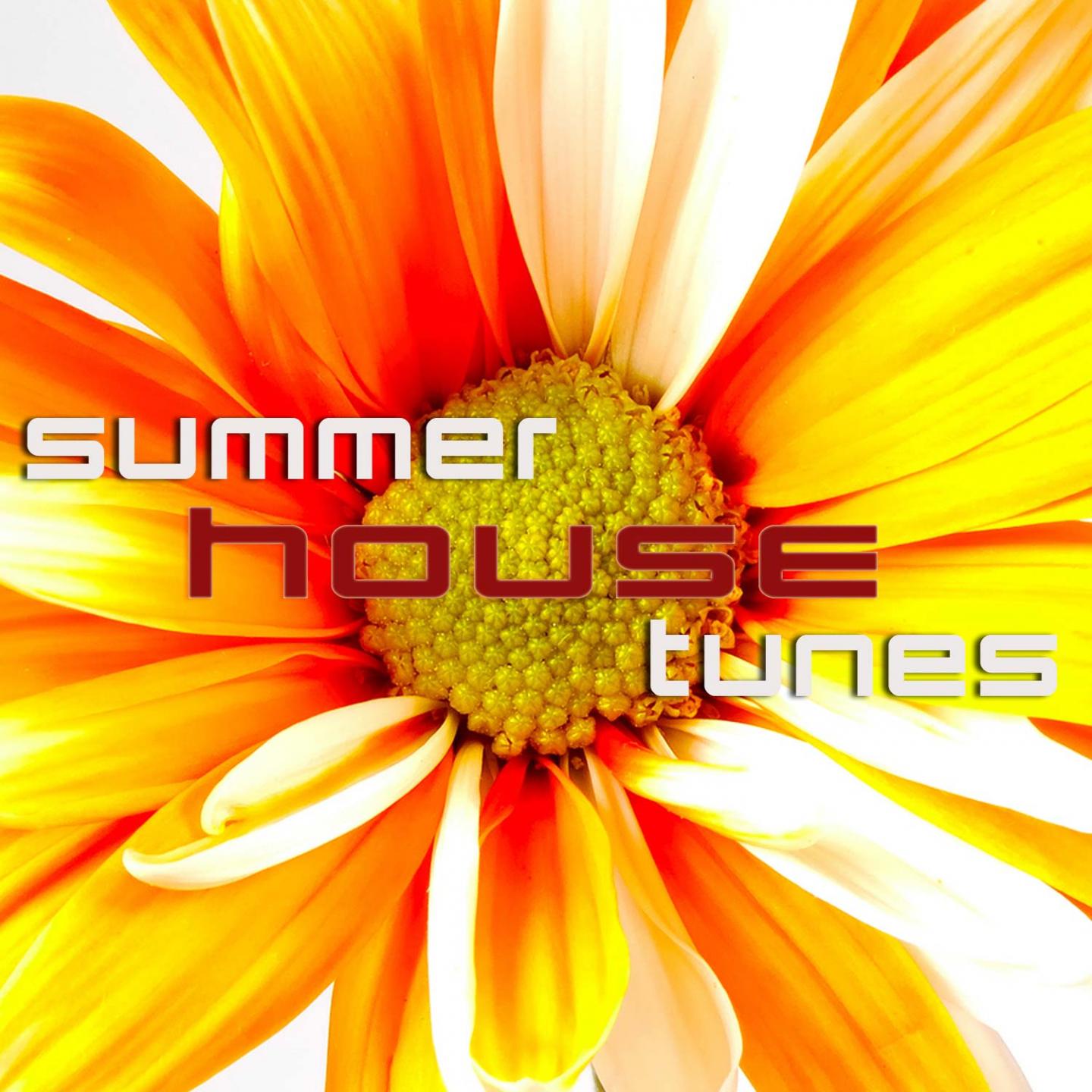 Постер альбома Summer House Tunes