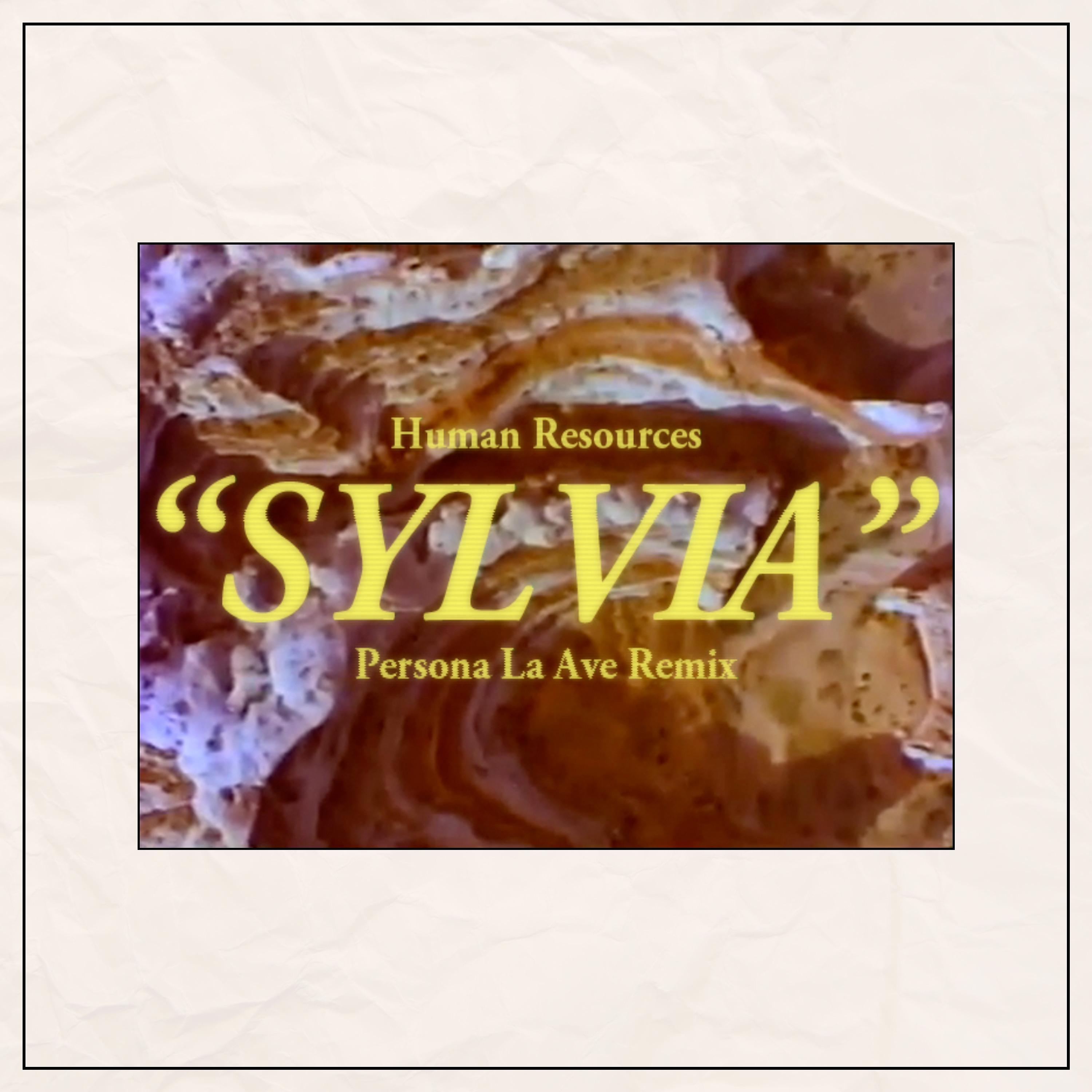 Постер альбома Sylvia Remix