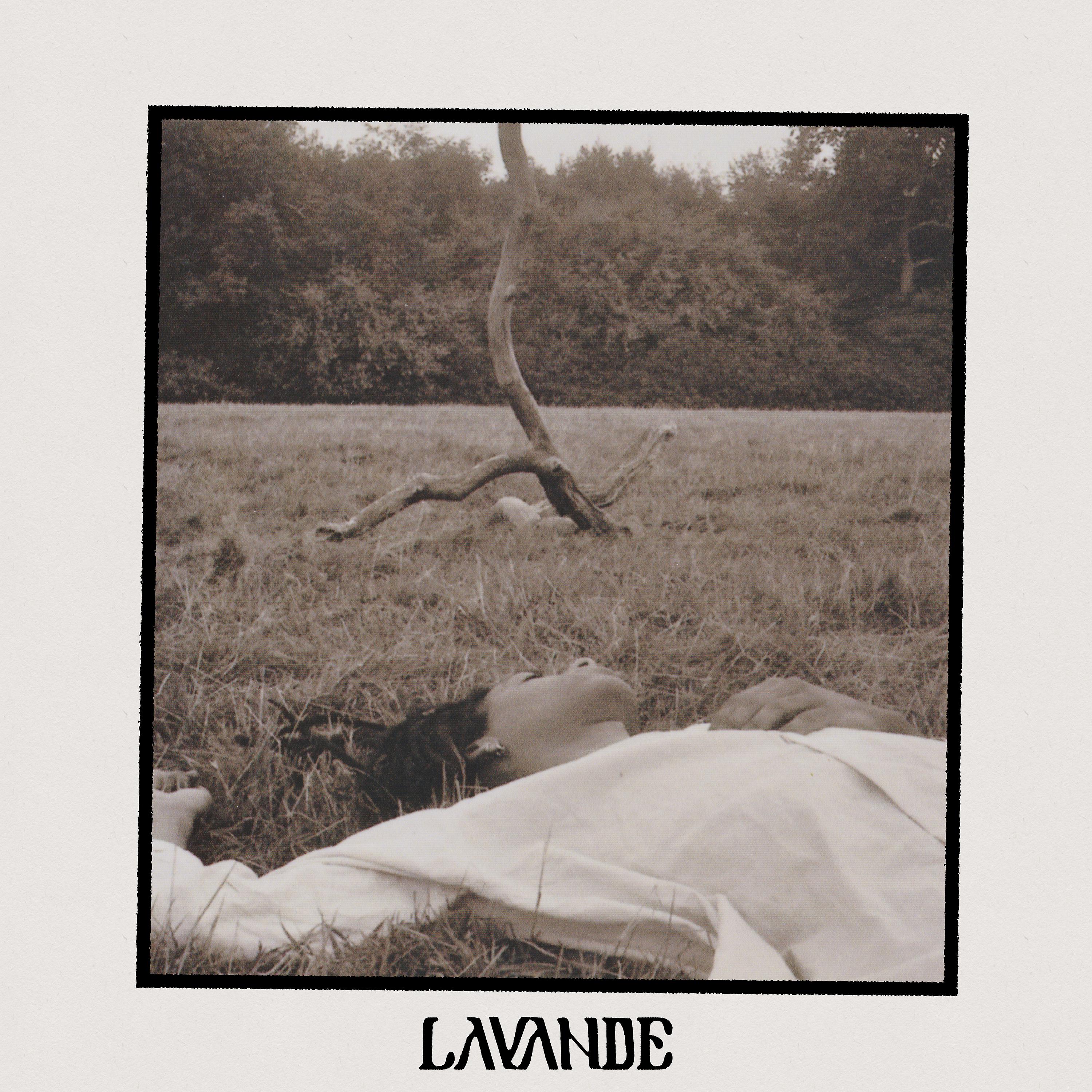 Постер альбома Lavande