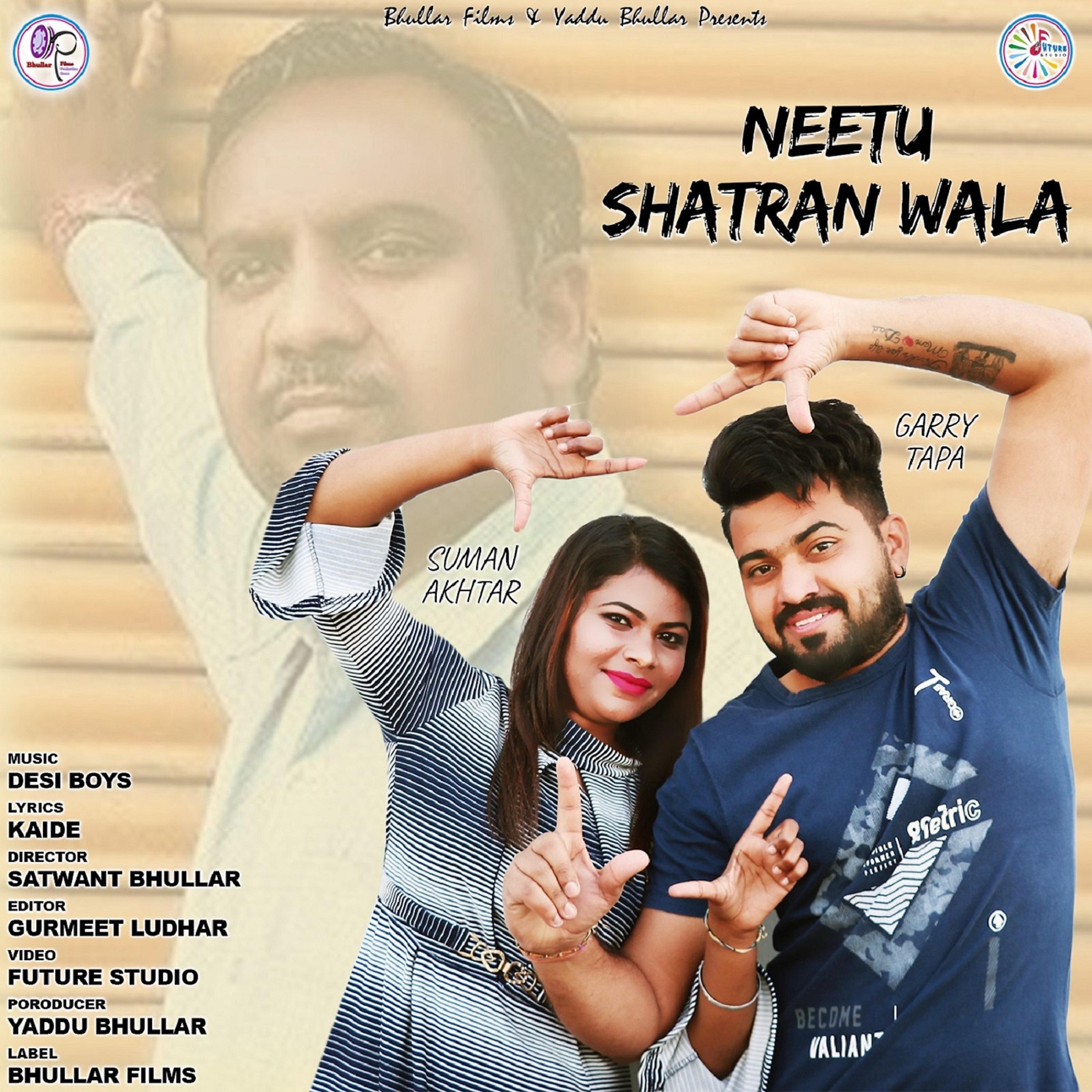 Постер альбома Neetu Shatran Wala