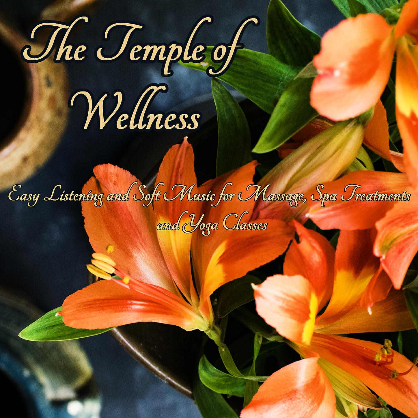 Zen Shiatsu Musique de Massage Spa Unité - Ayurveda Treatments