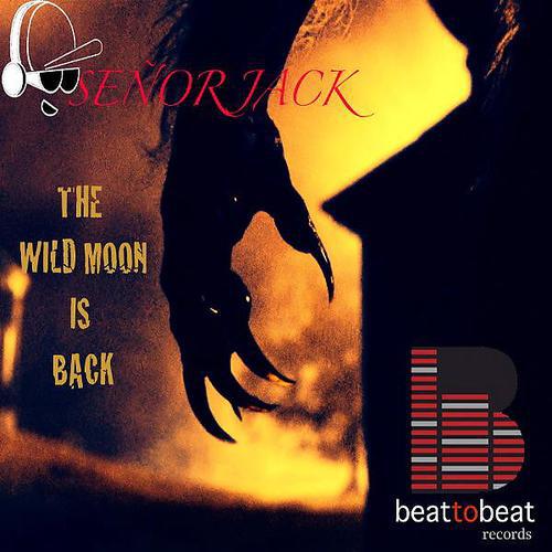 Постер альбома The wild moon is back