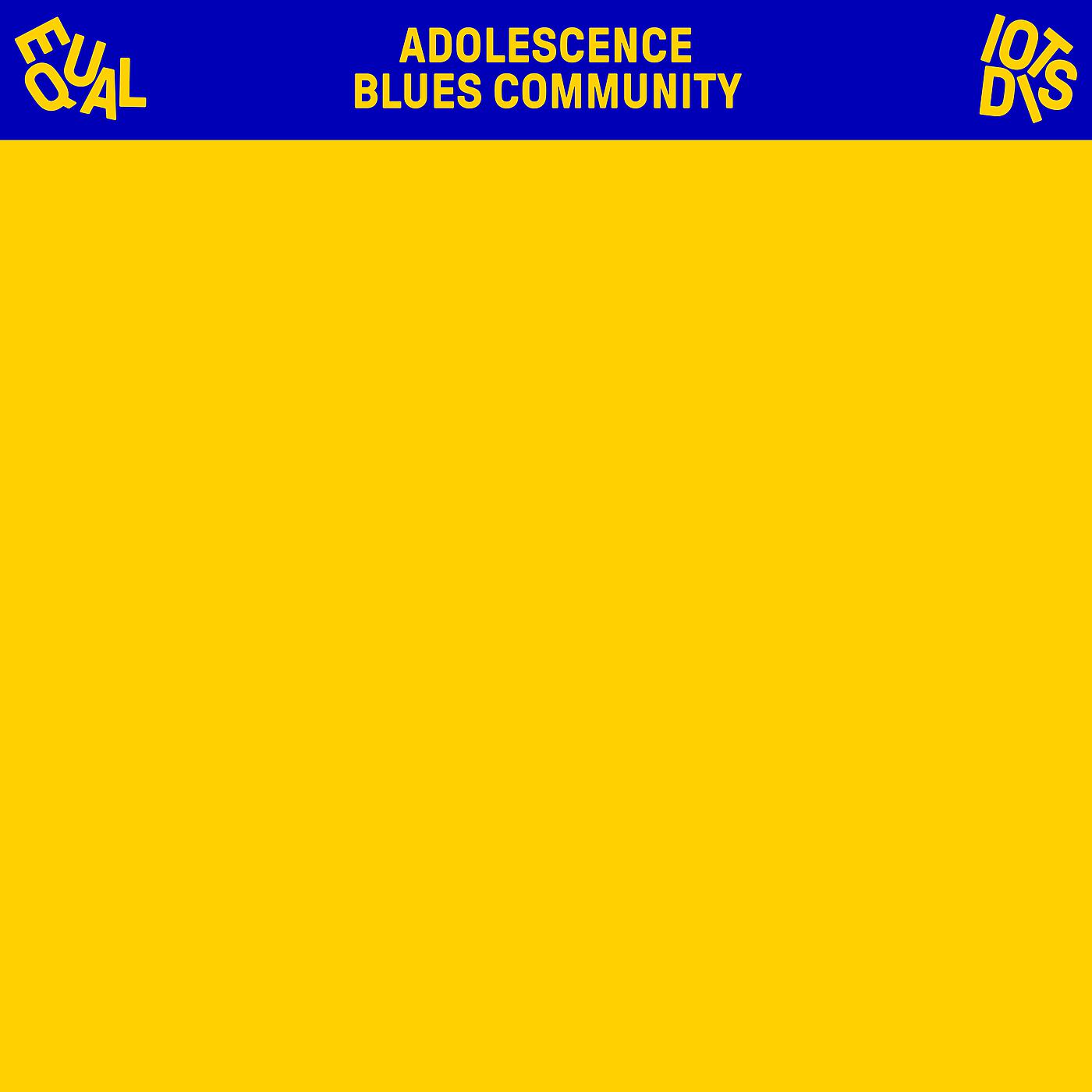 Постер альбома Adolescence Blues Community