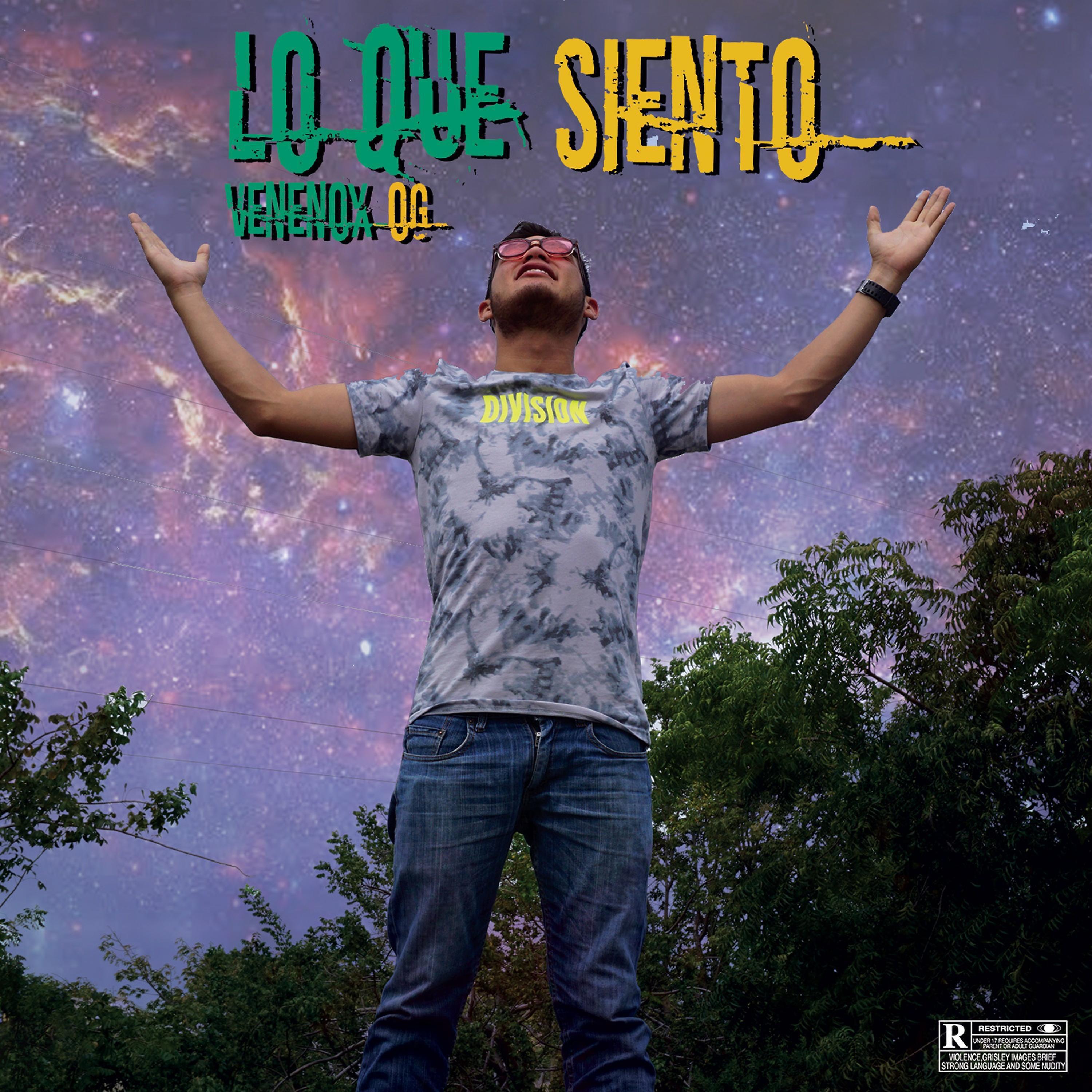 Постер альбома Lo Que Siento