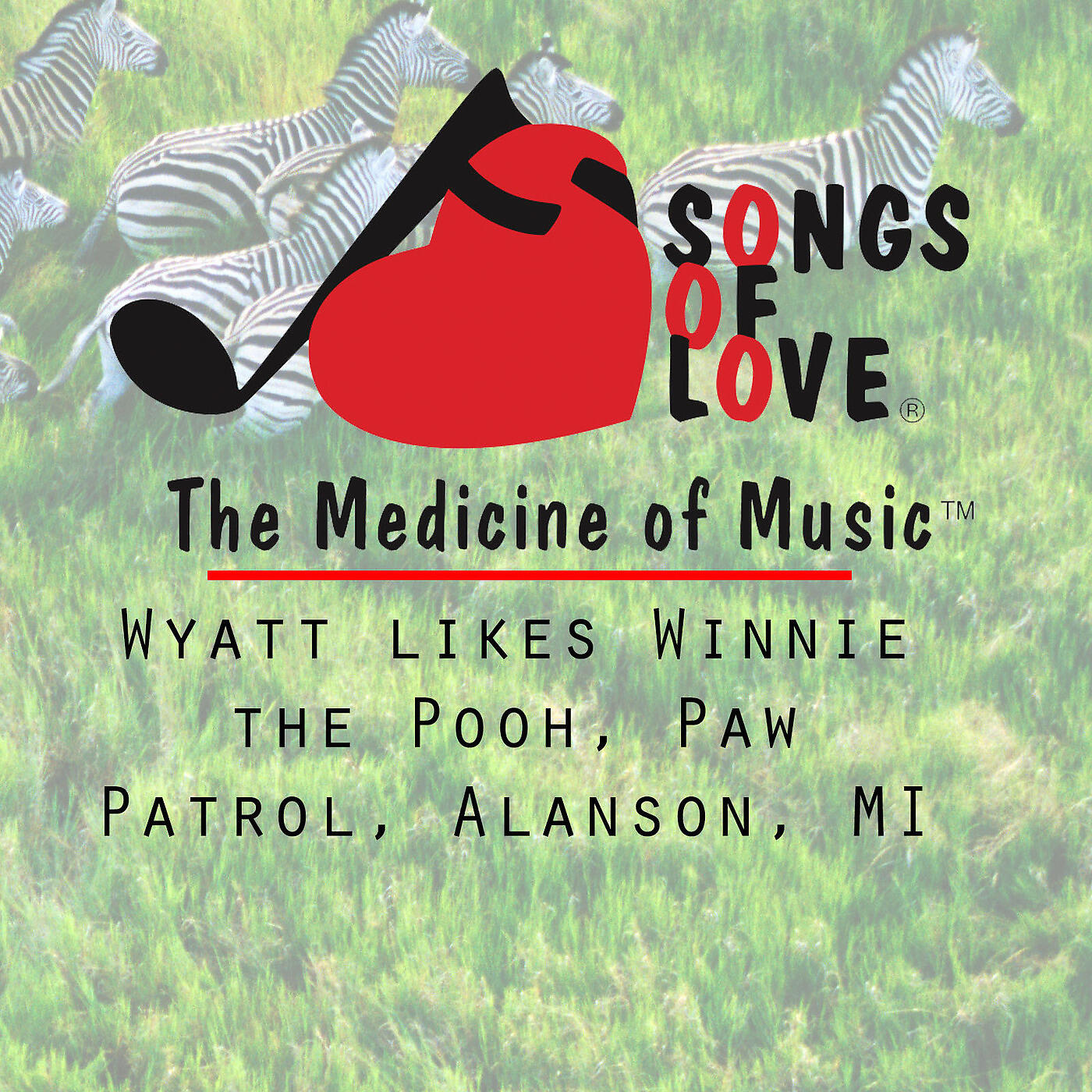 S.Garskof - Wyatt Likes Winnie the Pooh, Paw Patrol, Alanson, MI