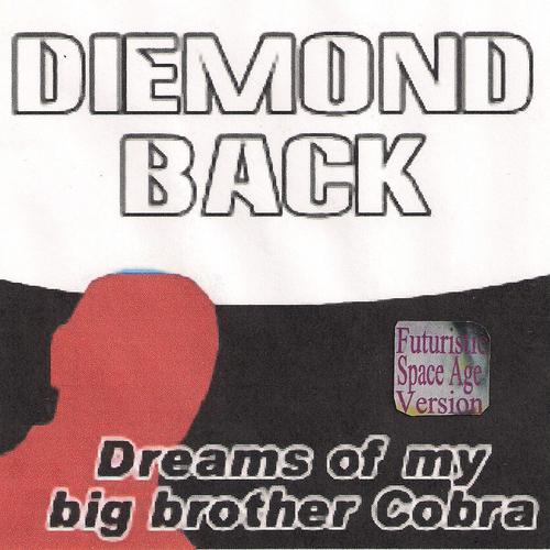 Постер альбома Dreams of My Big Brother Cobra