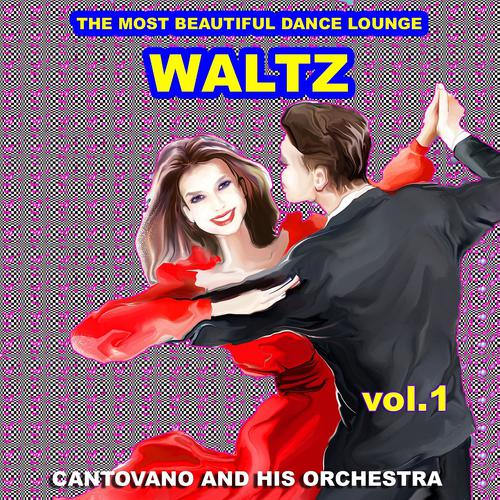 Постер альбома Waltz : The Most Beautiful Dance Lounge, Vol.1