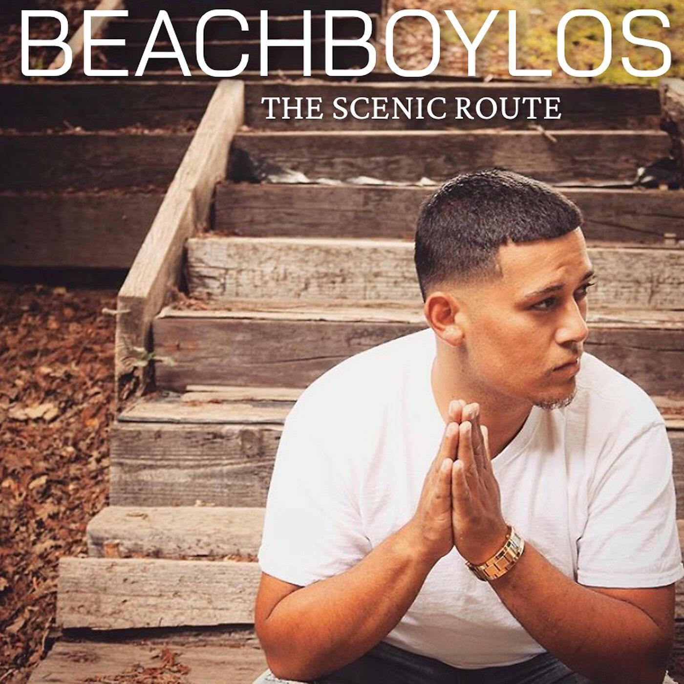 BeachboyLos - The Scenic Route