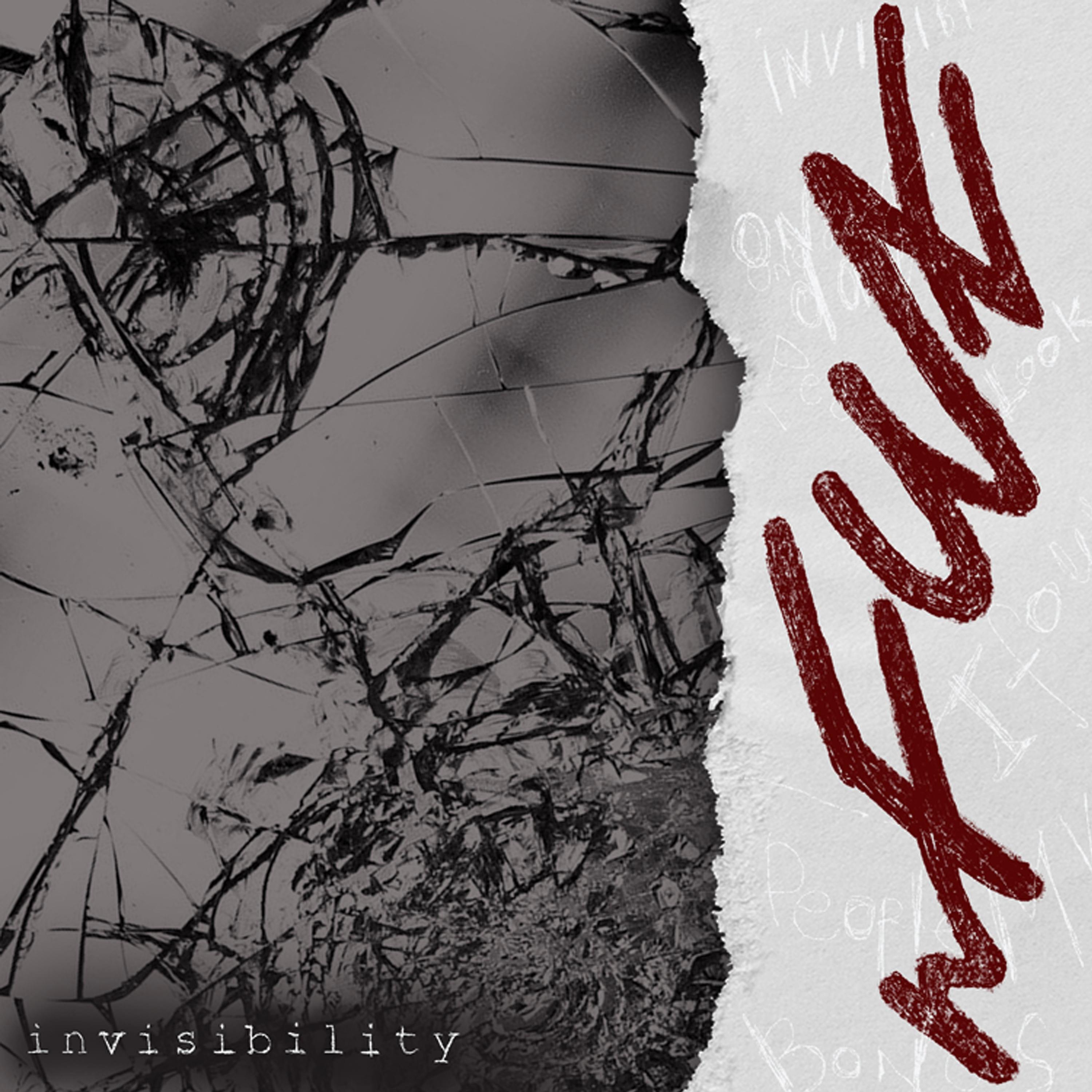 Постер альбома Invisibility