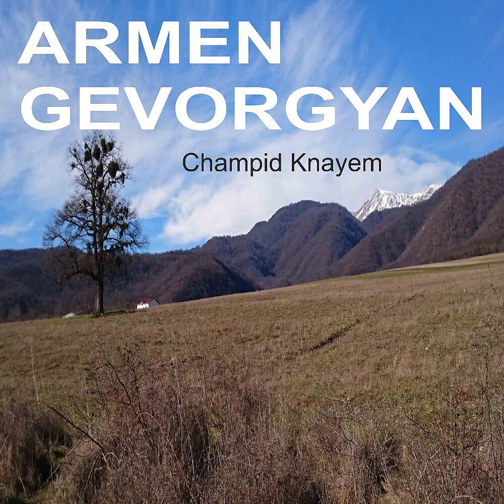 Armen Gevorgyan - Ancac Serd Khishes