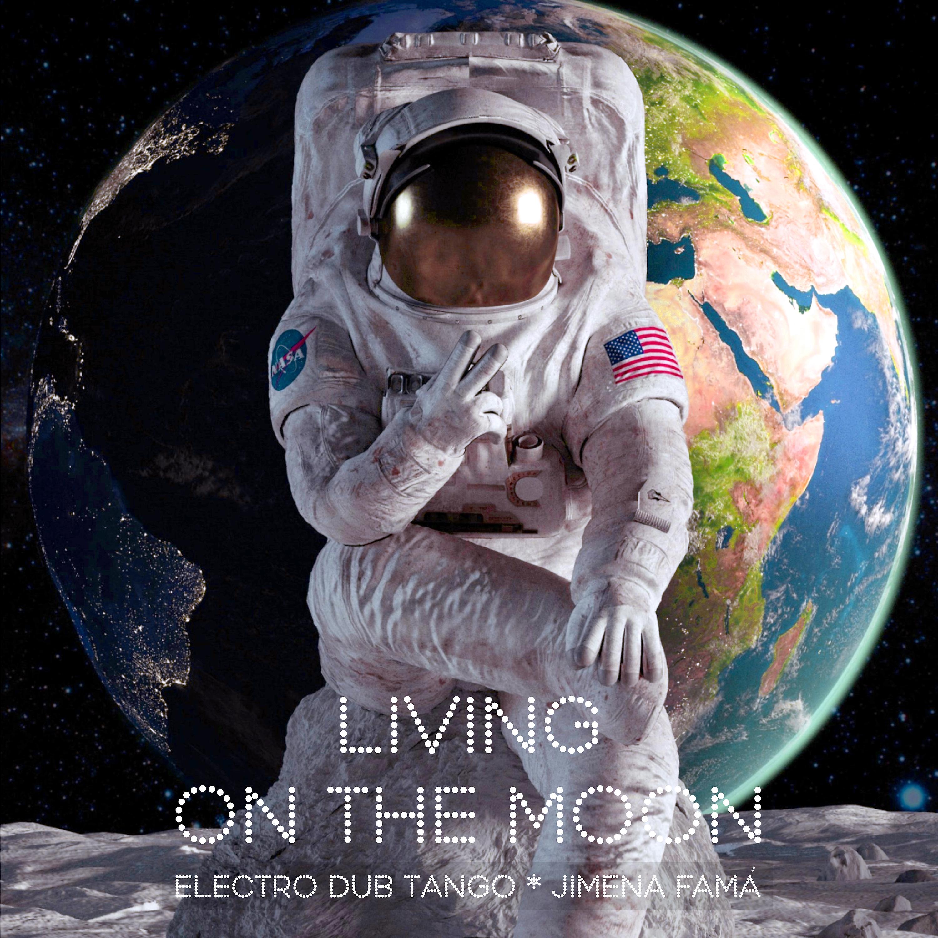 Постер альбома Living On The Moon