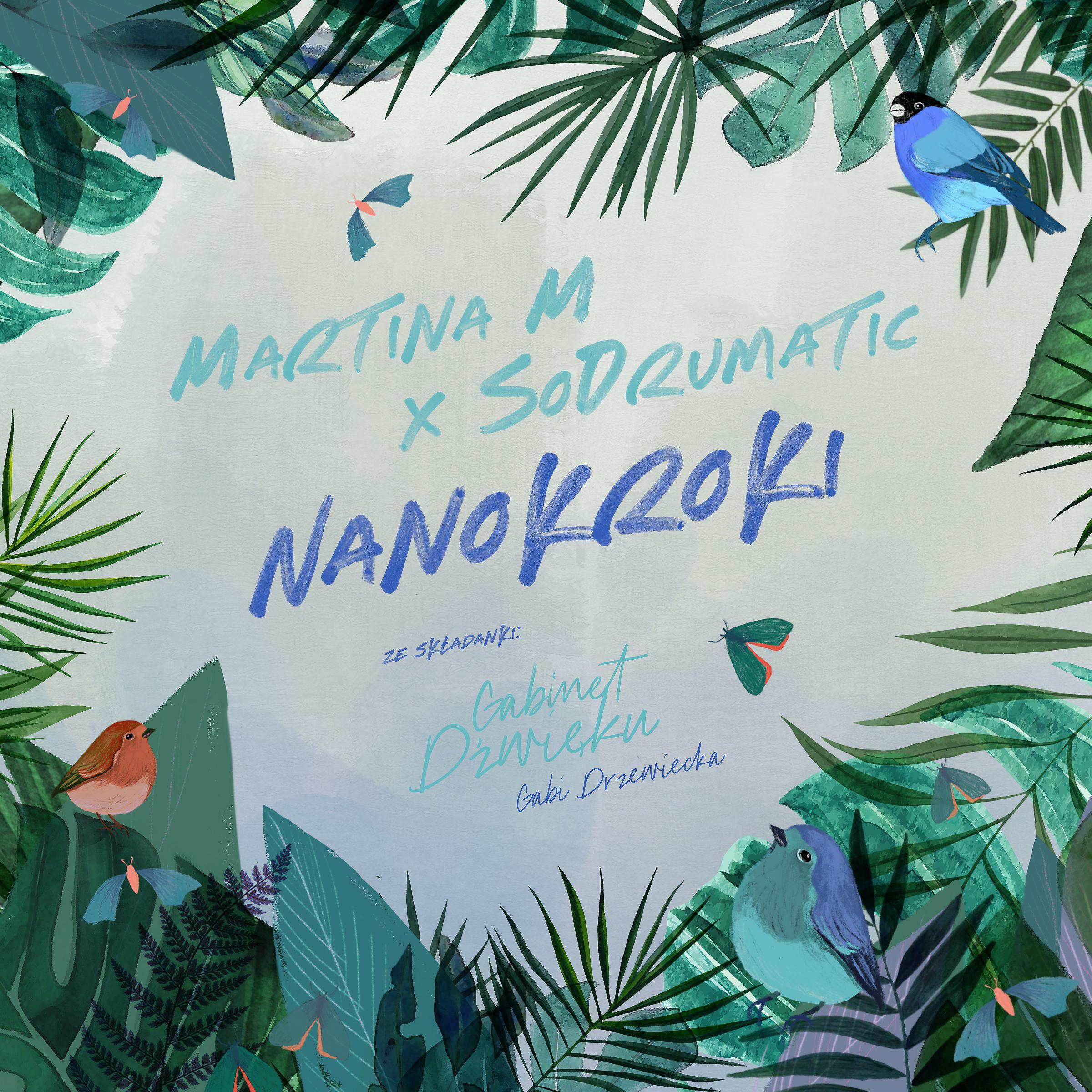 Постер альбома Nanokroki