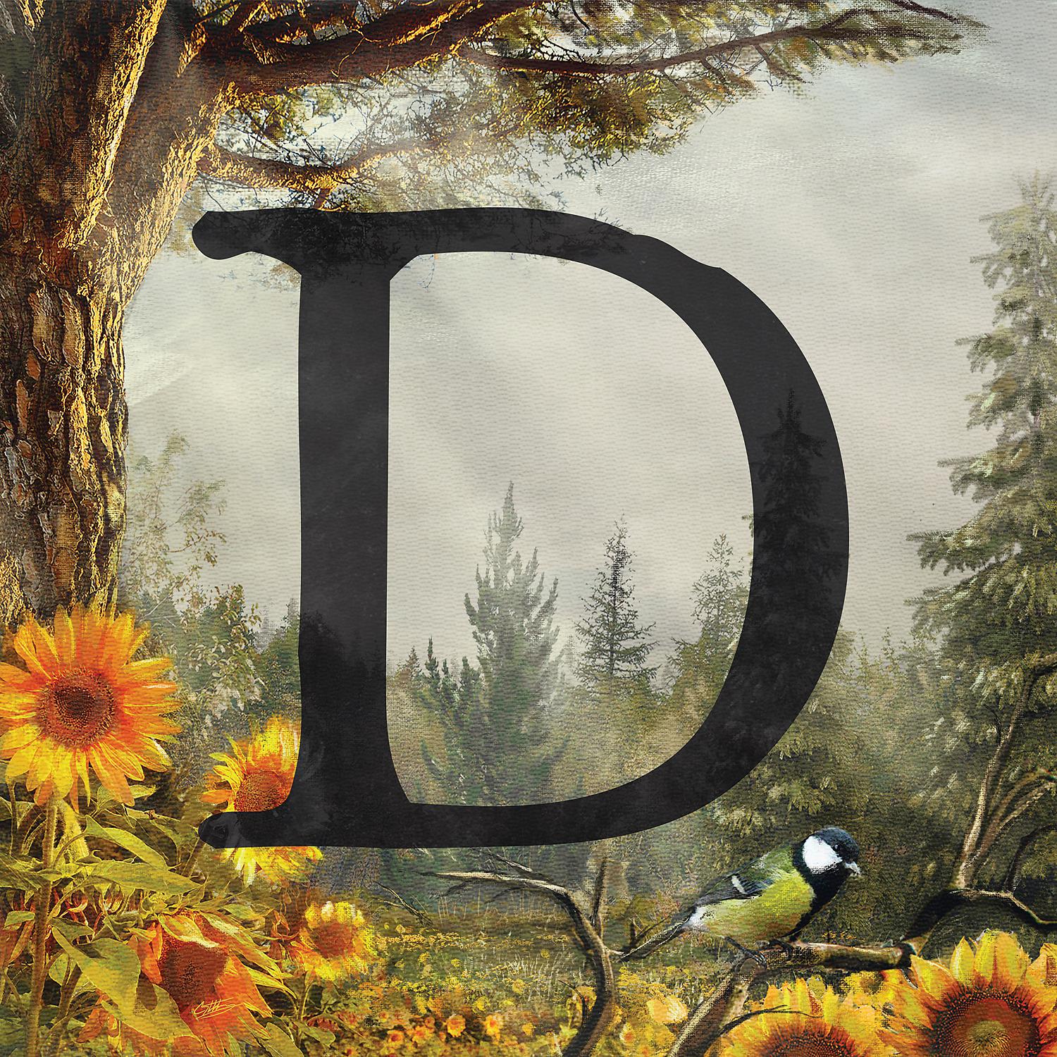 Постер альбома D
