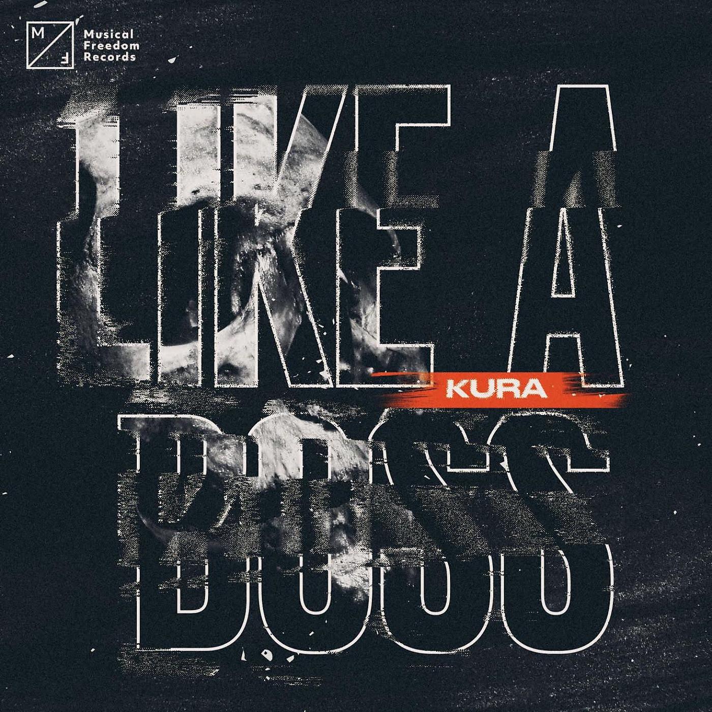 Постер альбома Like A Boss