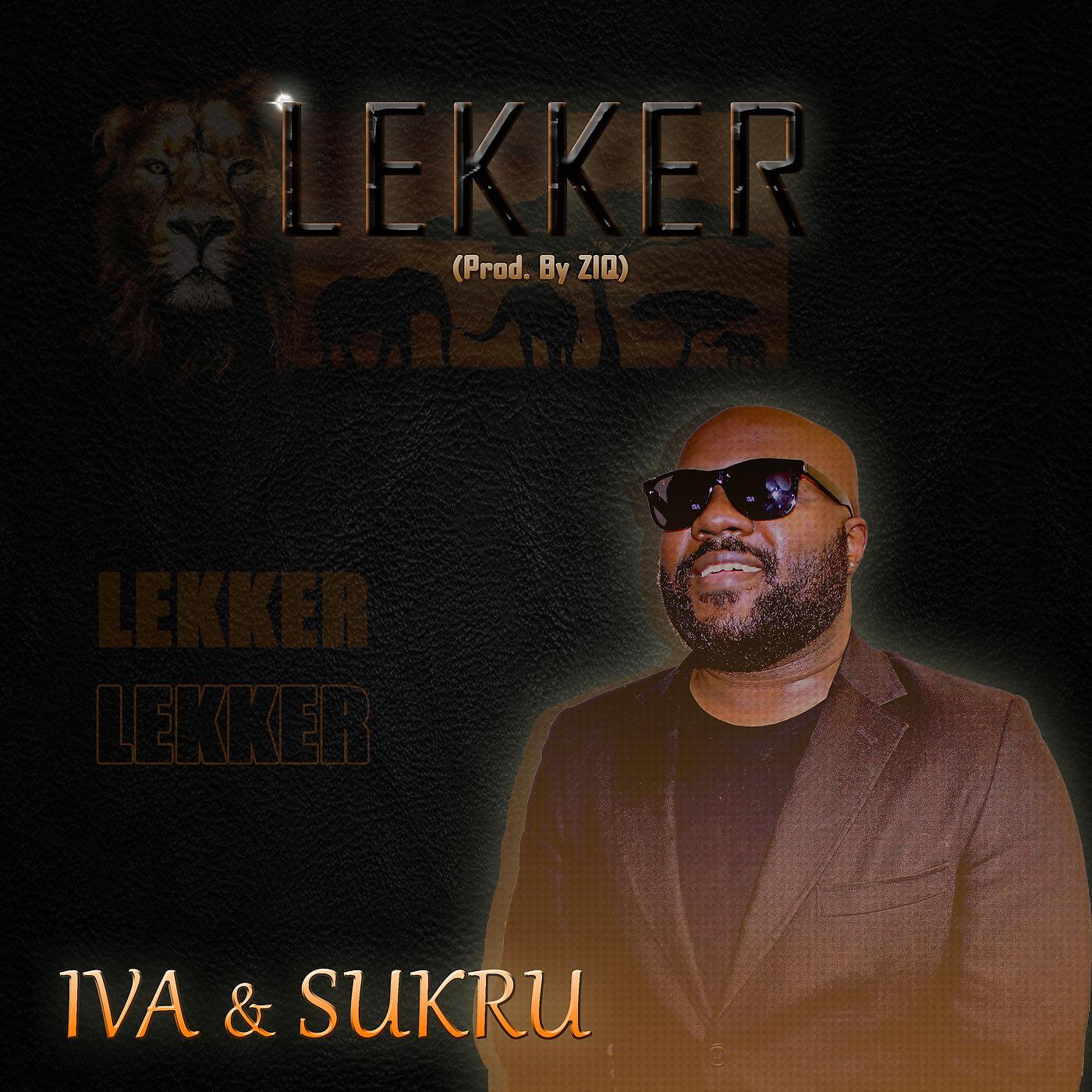 Постер альбома Lekker
