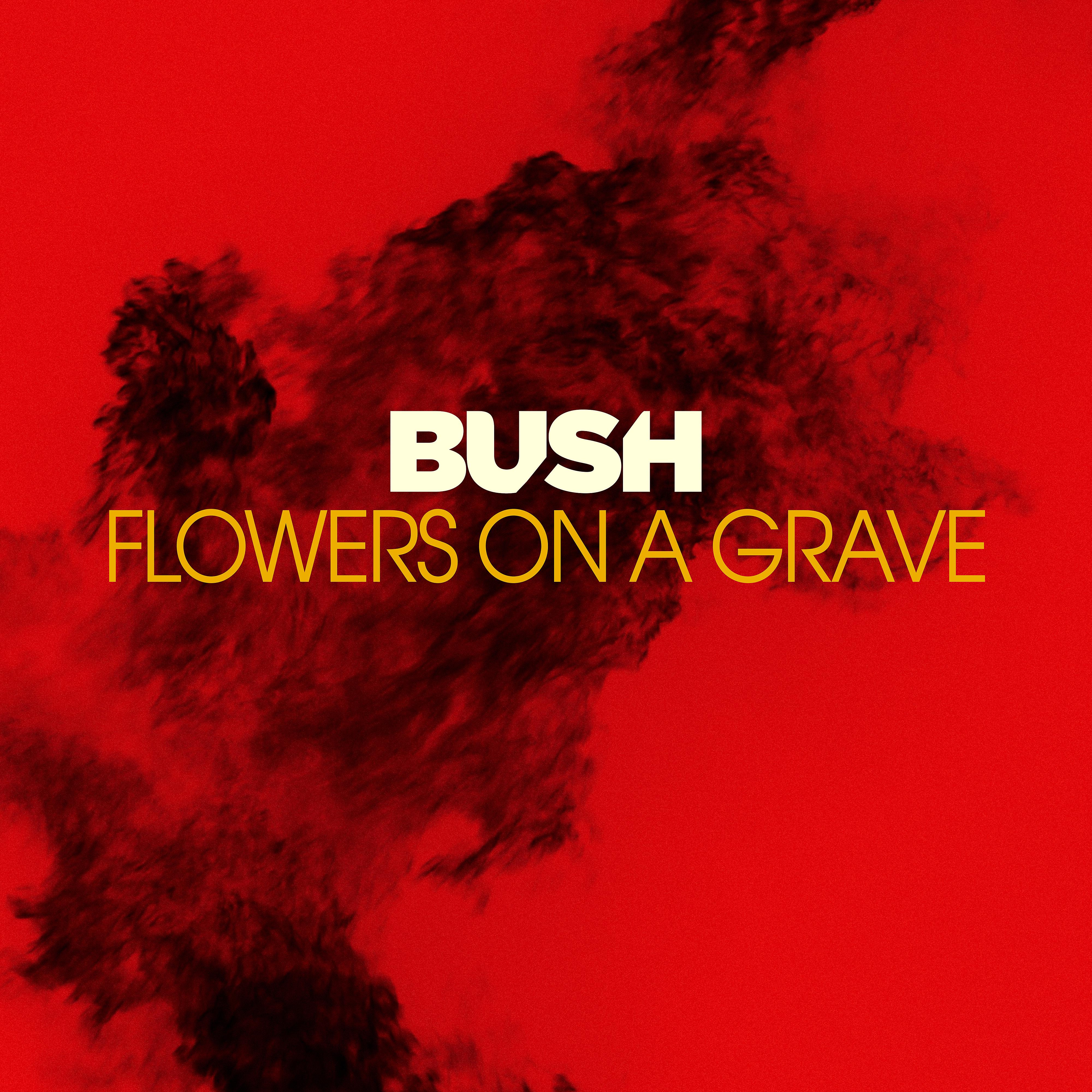Постер альбома Flowers On A Grave