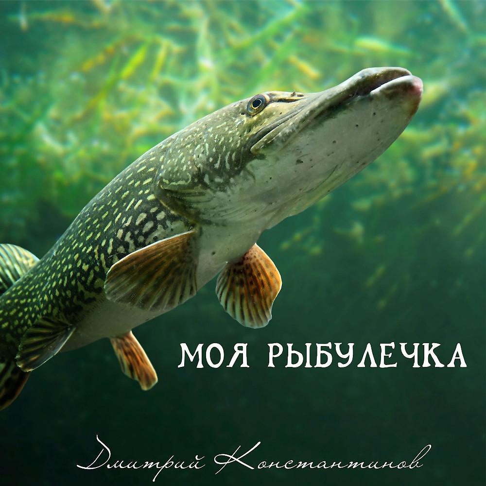 Постер альбома Моя рыбулечка